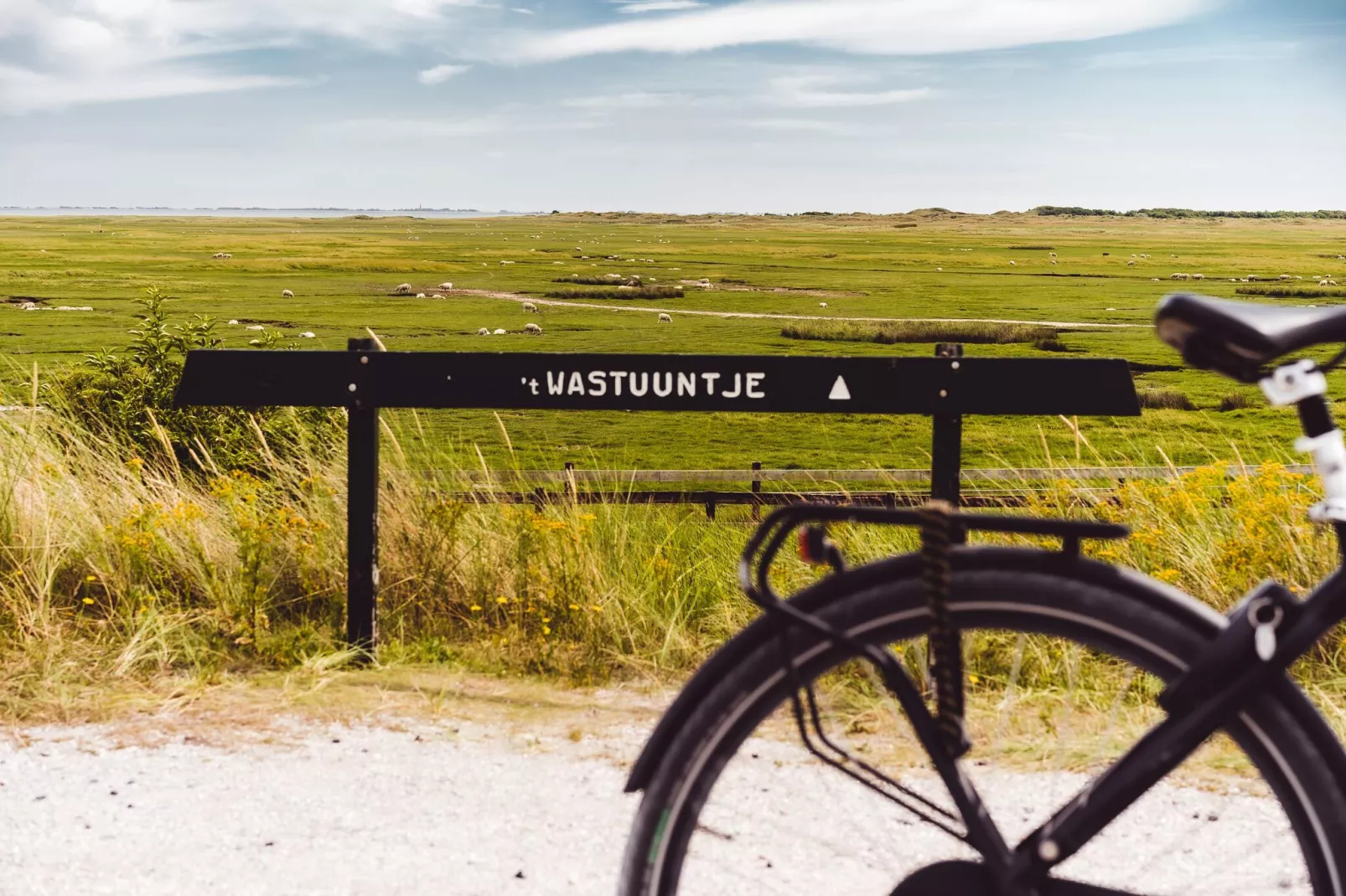 Vakantiepark Boomhiemke 6-Areas summer 5km