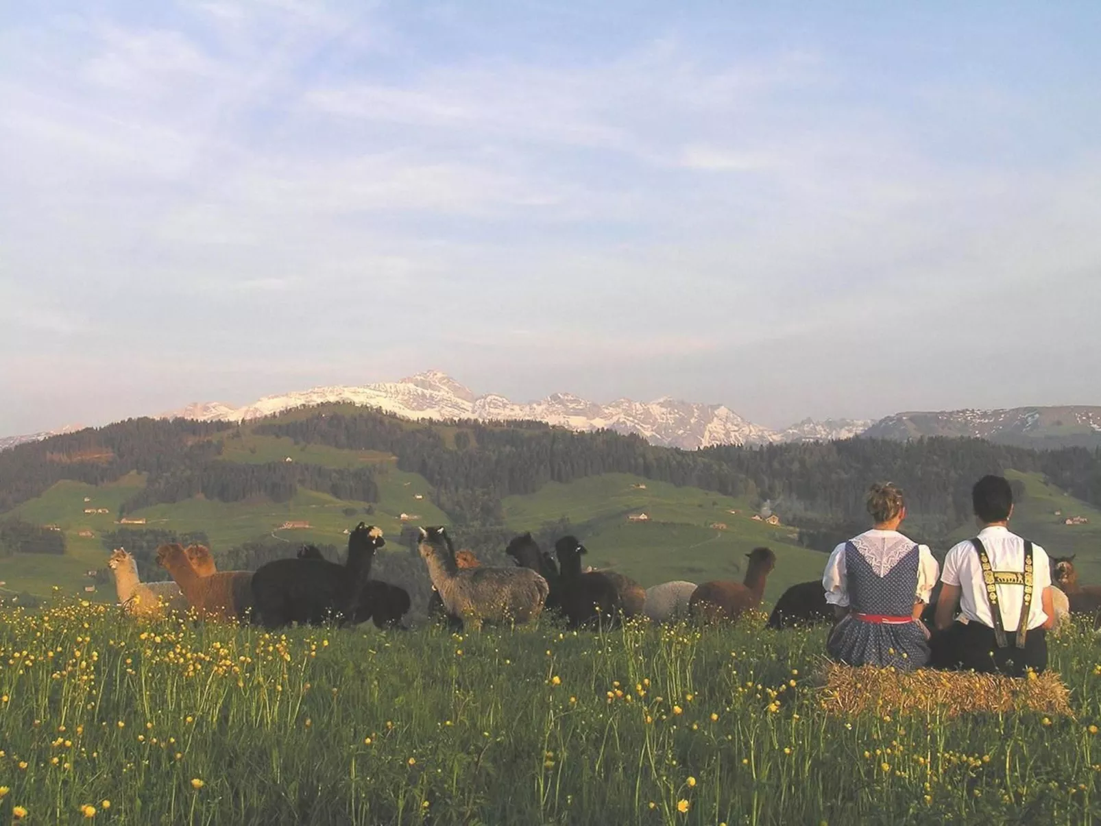 Alpakahof Ferien-Dehors