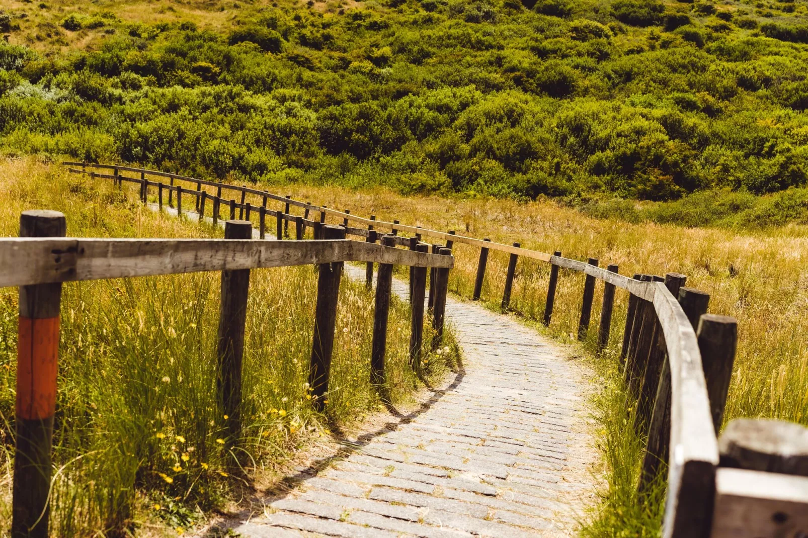 Vakantiepark Boomhiemke 7-Areas summer 5km