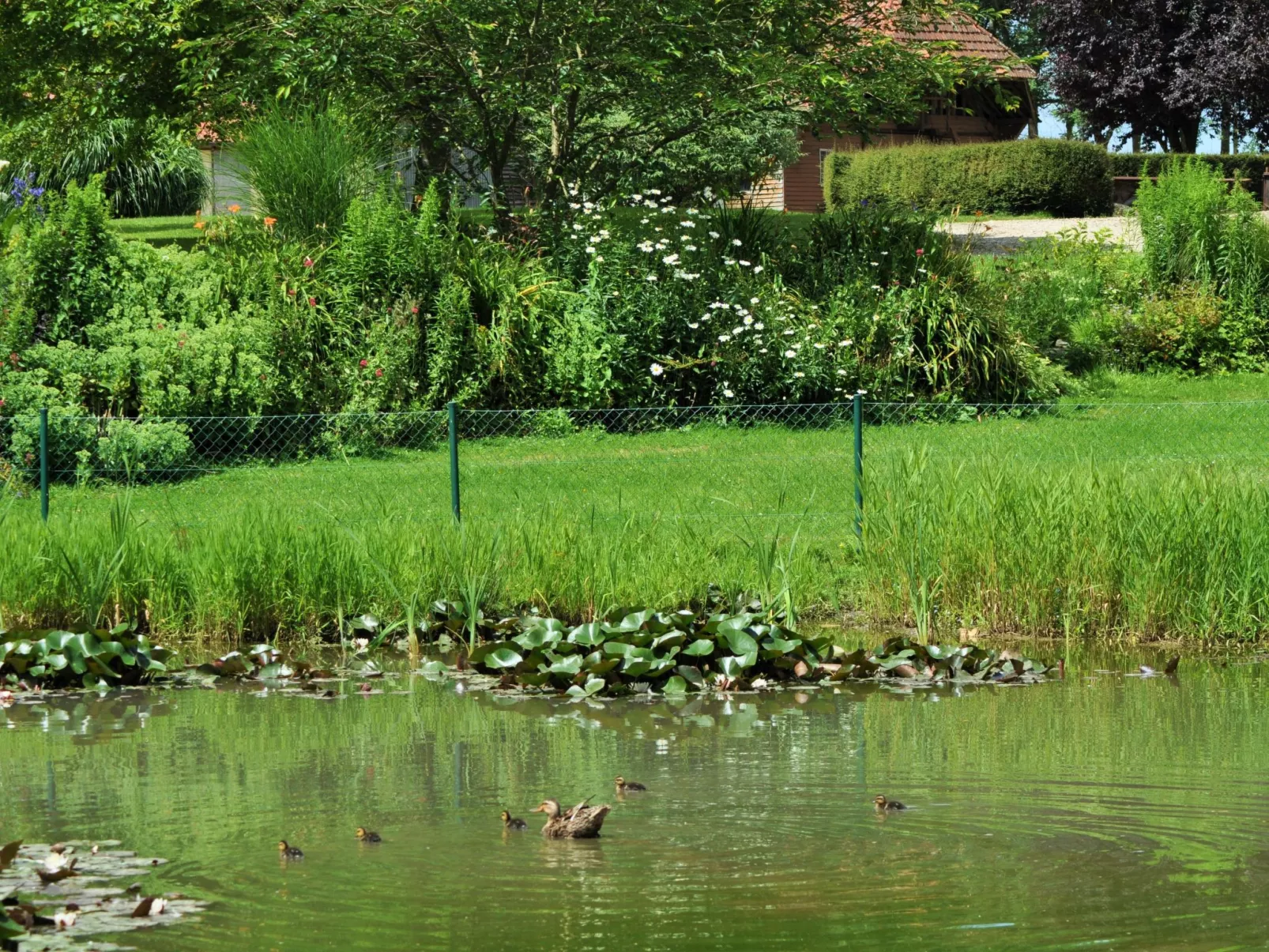 Für 8 Personen-Draußen