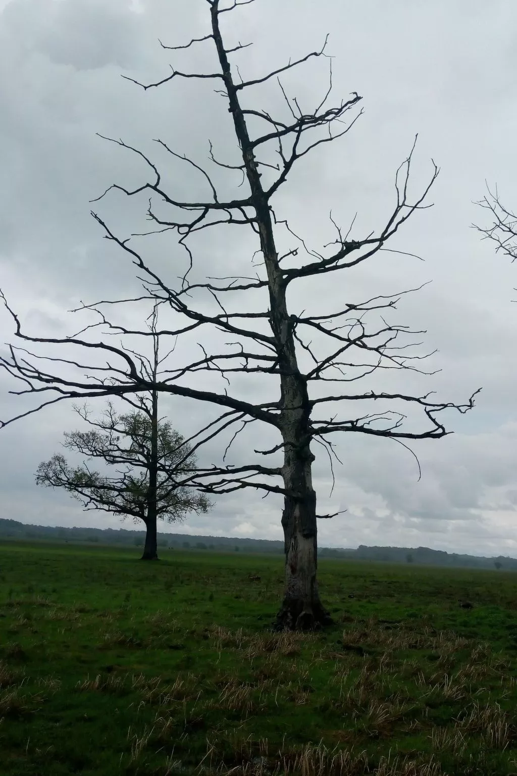Ländlicher Tourismus-Draußen
