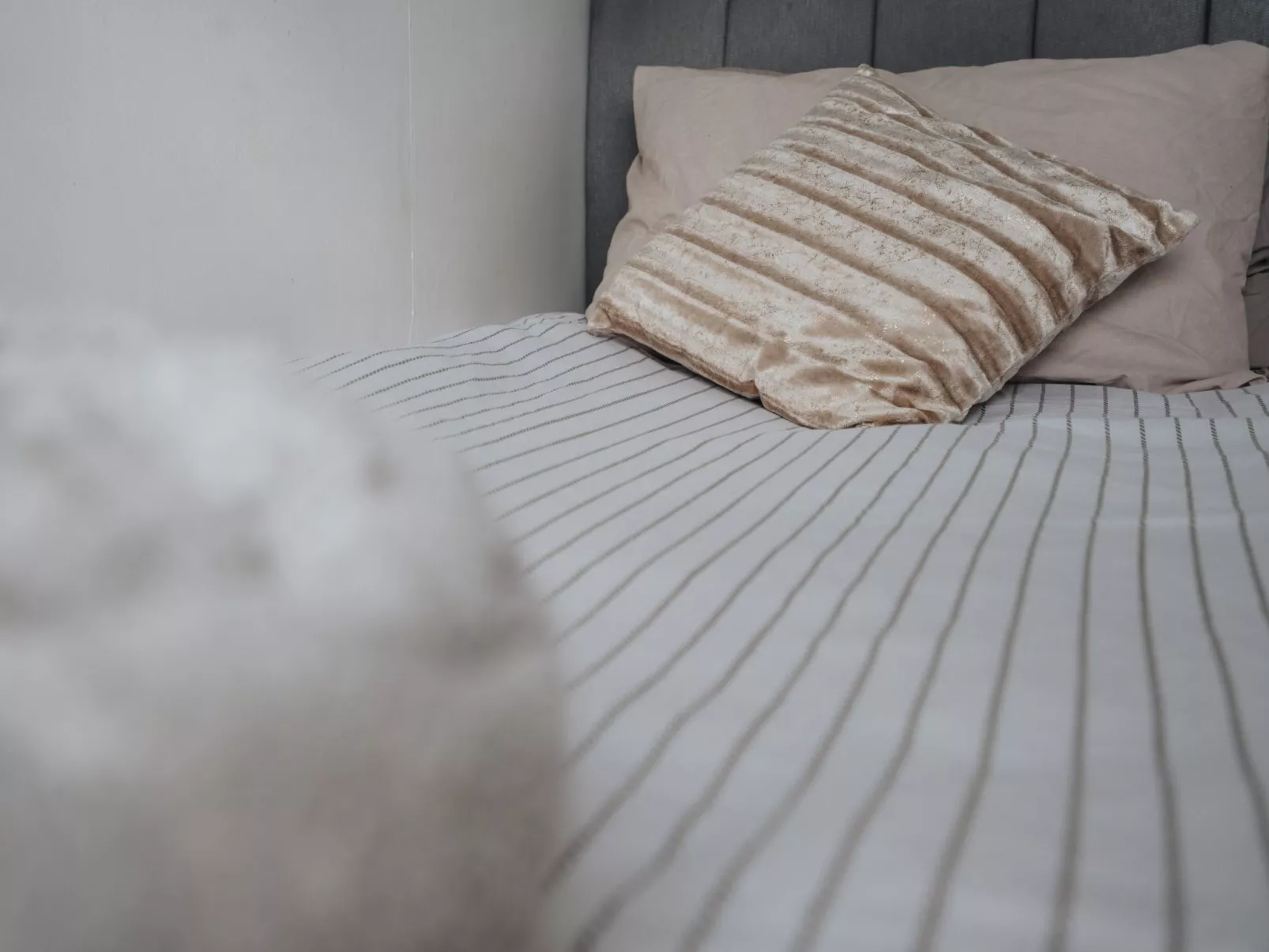 Kostenloses Parken Perfekt für lange monatliche Aufenthalte Für 6 Personen-Image-tags.info