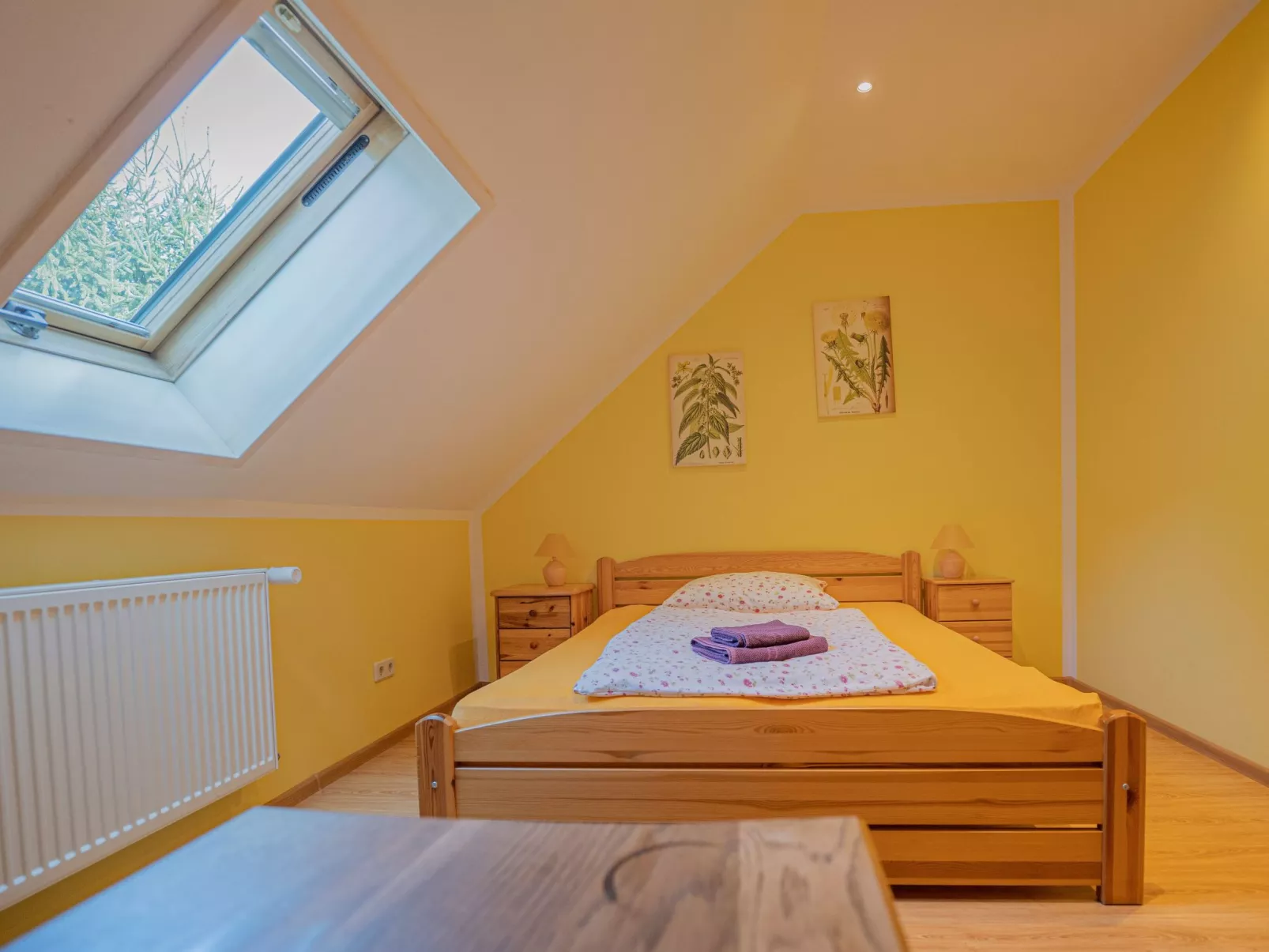 Dom Ogrodnika-Drinnen