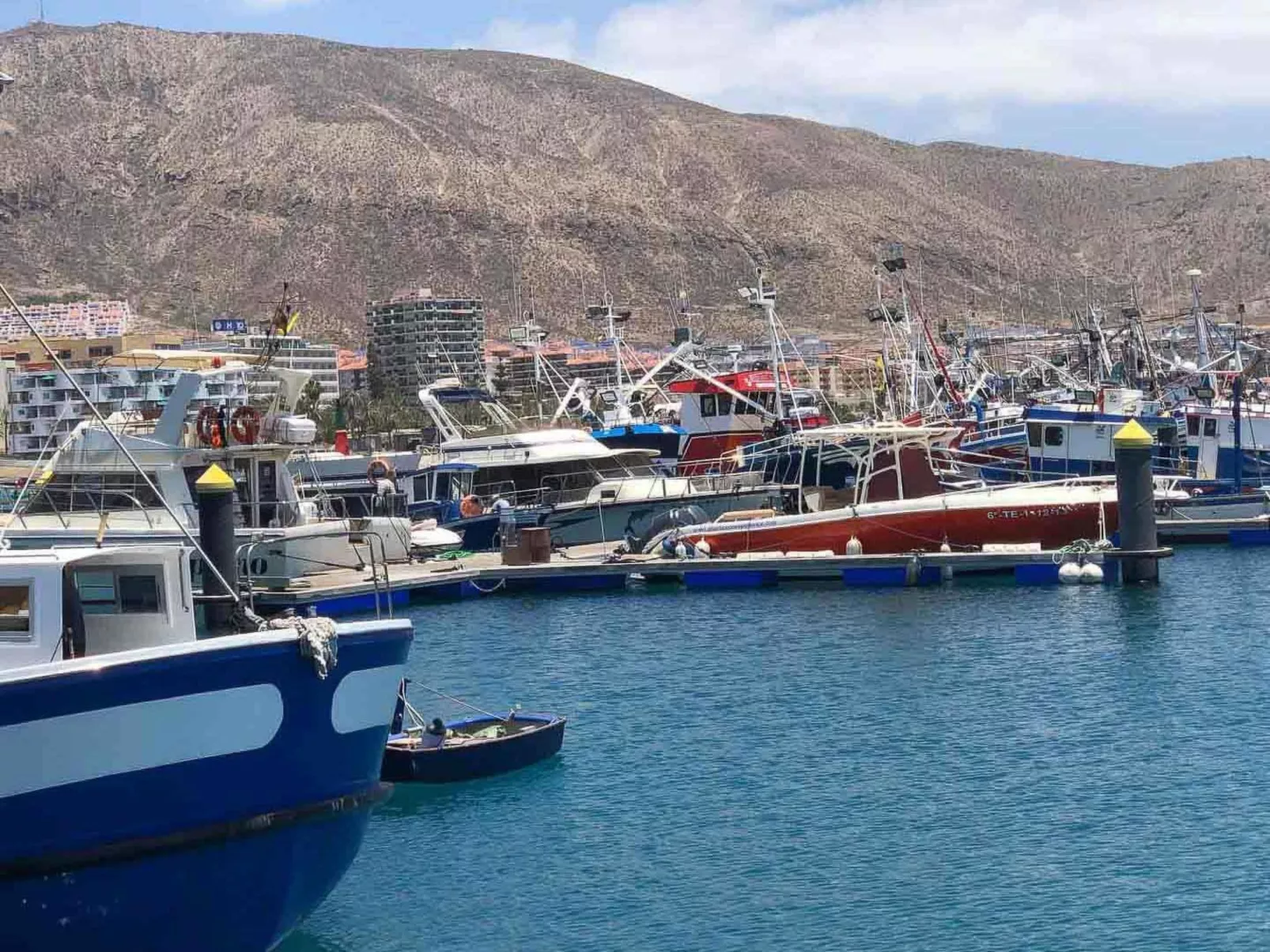 Wohnung mit botanischem Garten und Meerblick - Image-tags.info