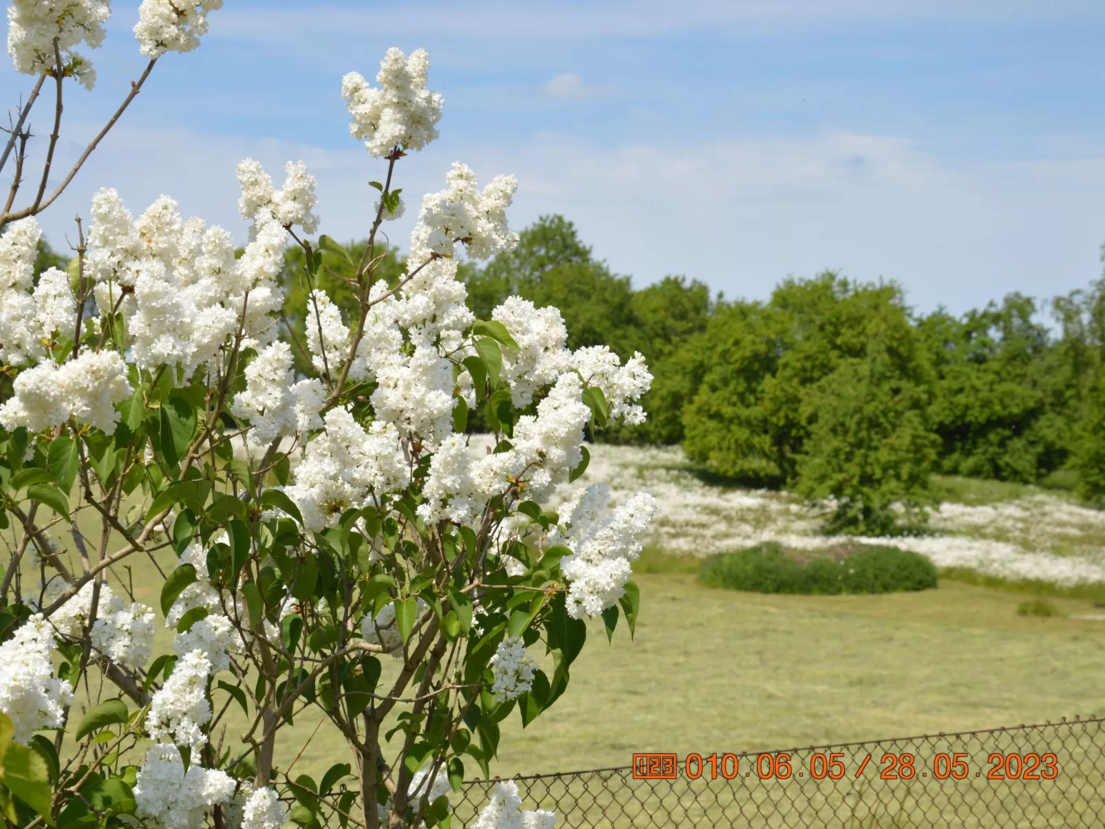 Büdnerei Cantnitz-Outside