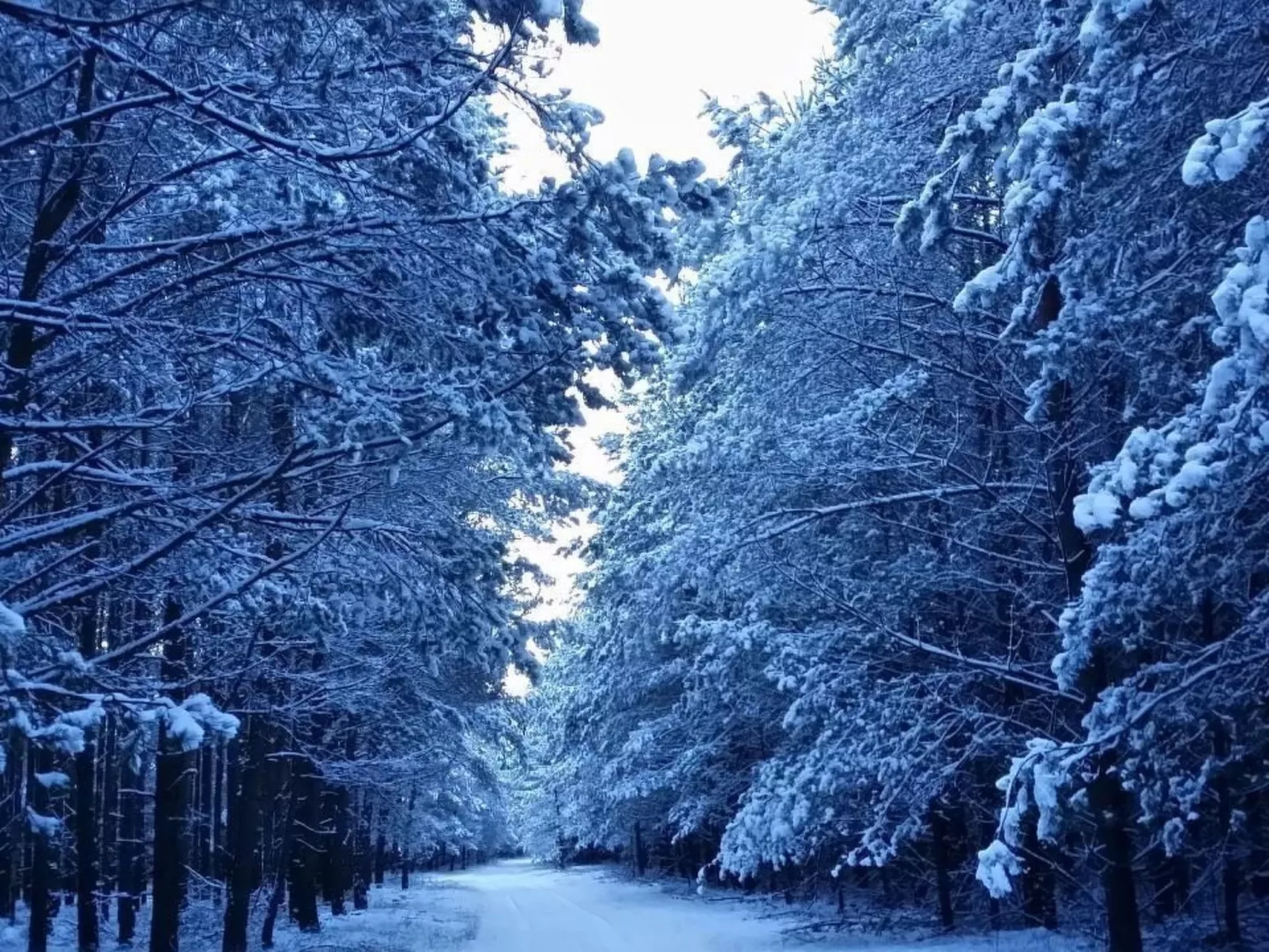 - Uns lütt Hüsung-Image-tags.info