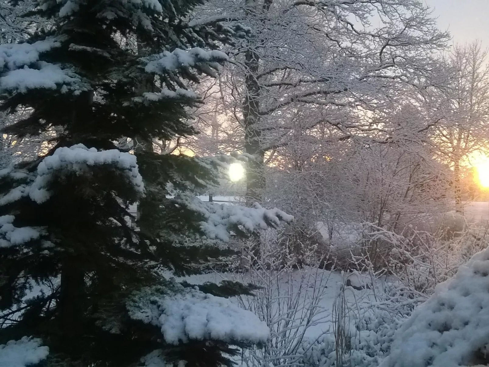 Zentrale Ferienwohnung mit Terrasse - Draußen