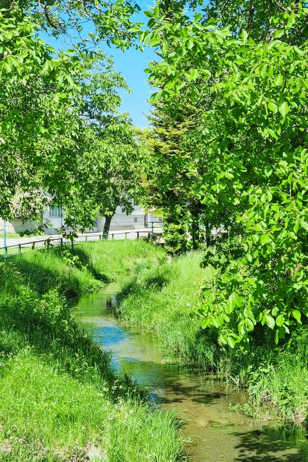 Familienfreundliche Wohnung im schönen Reisenberg