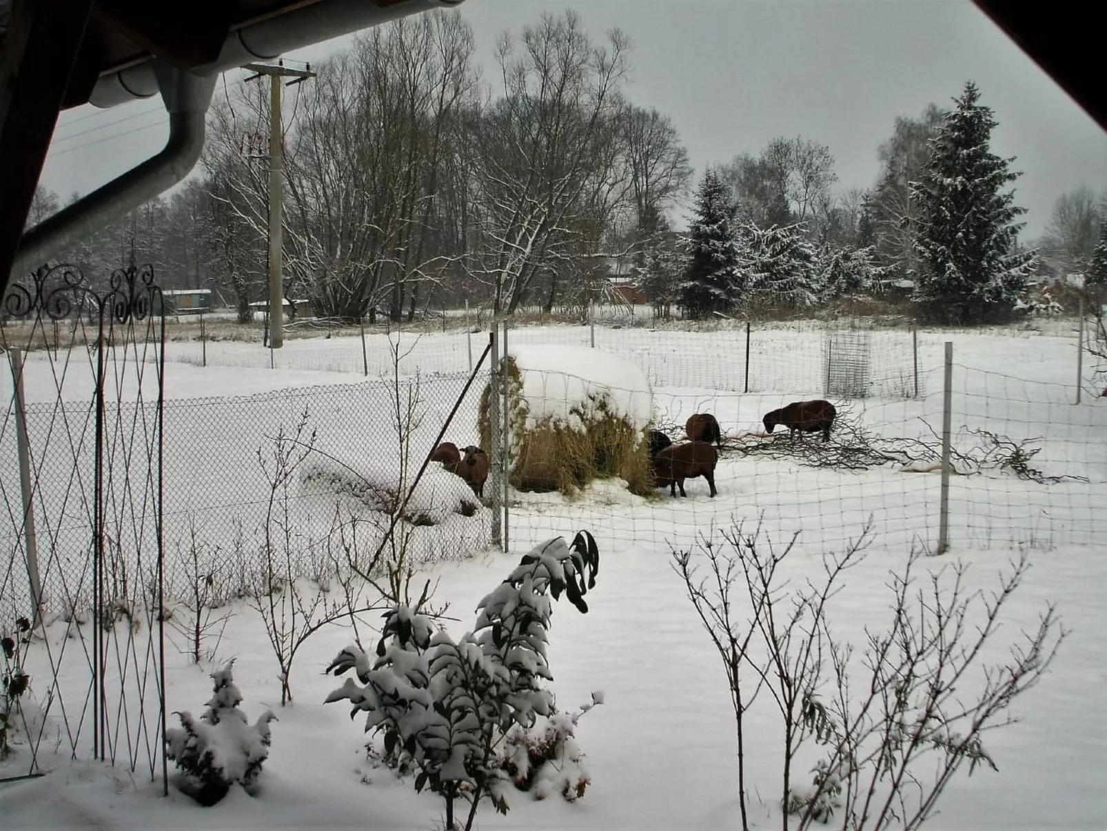 Oderhäuschen-Image-tags.info