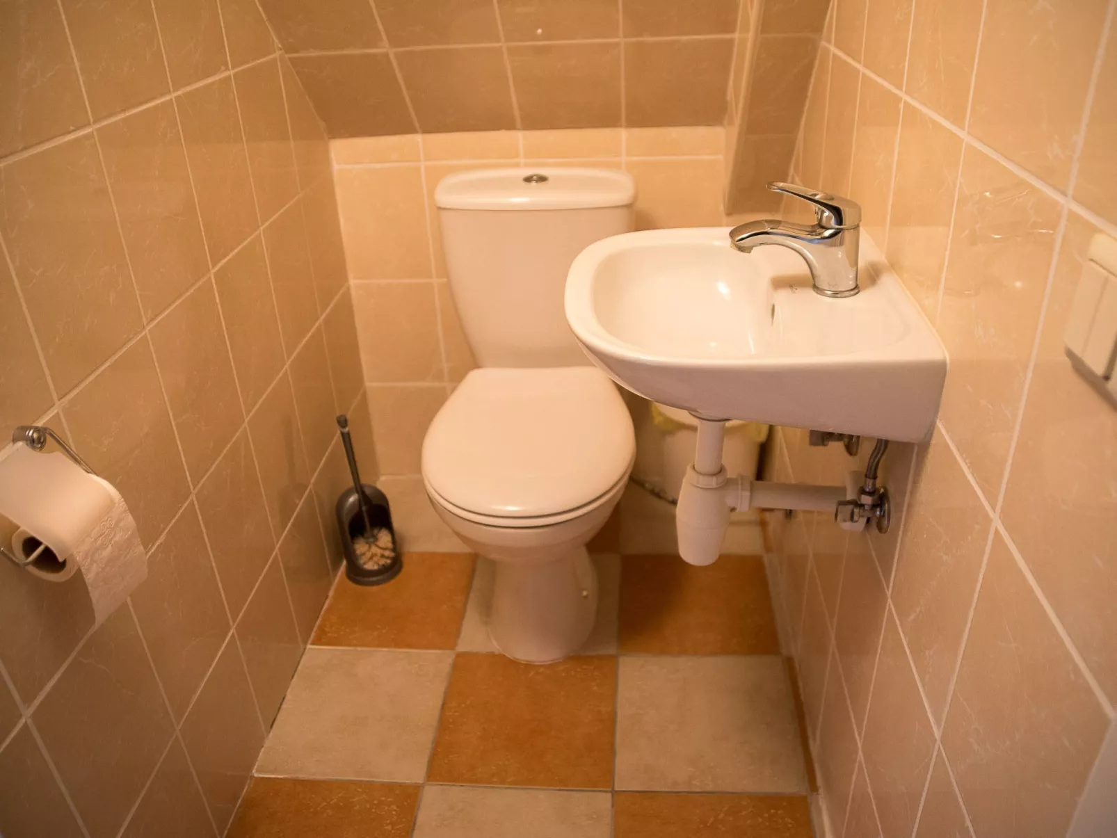 Fuchsbau in Waldnähe