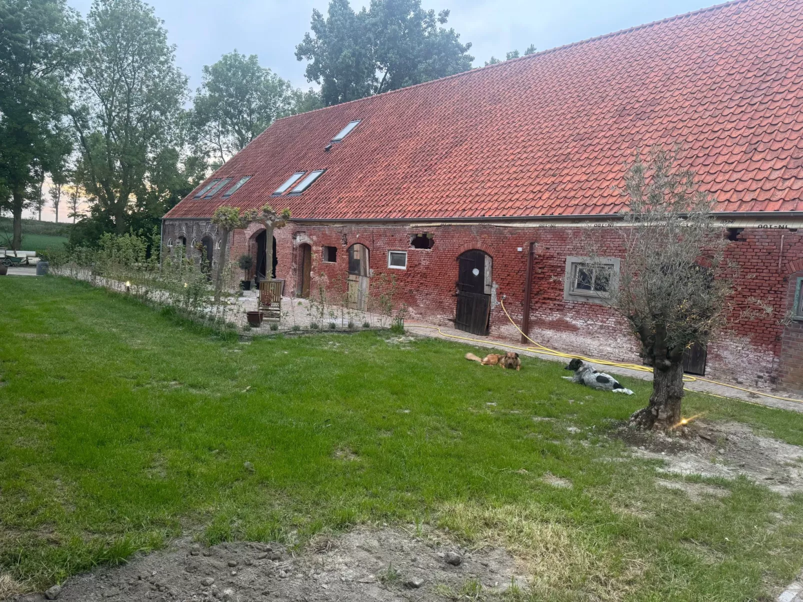 Einzigartiger Aufenthalt "The Moggershil" auf dem Bauernhof