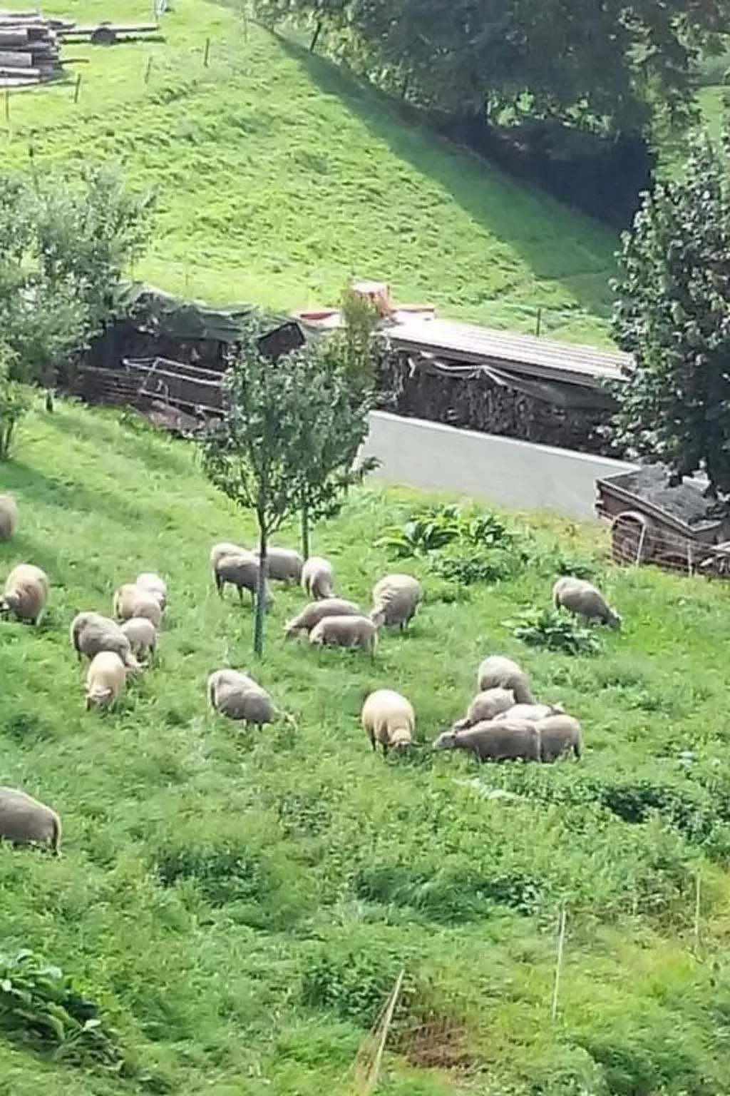 Studio in renoviertes Bauernhaus (3 Pers.)