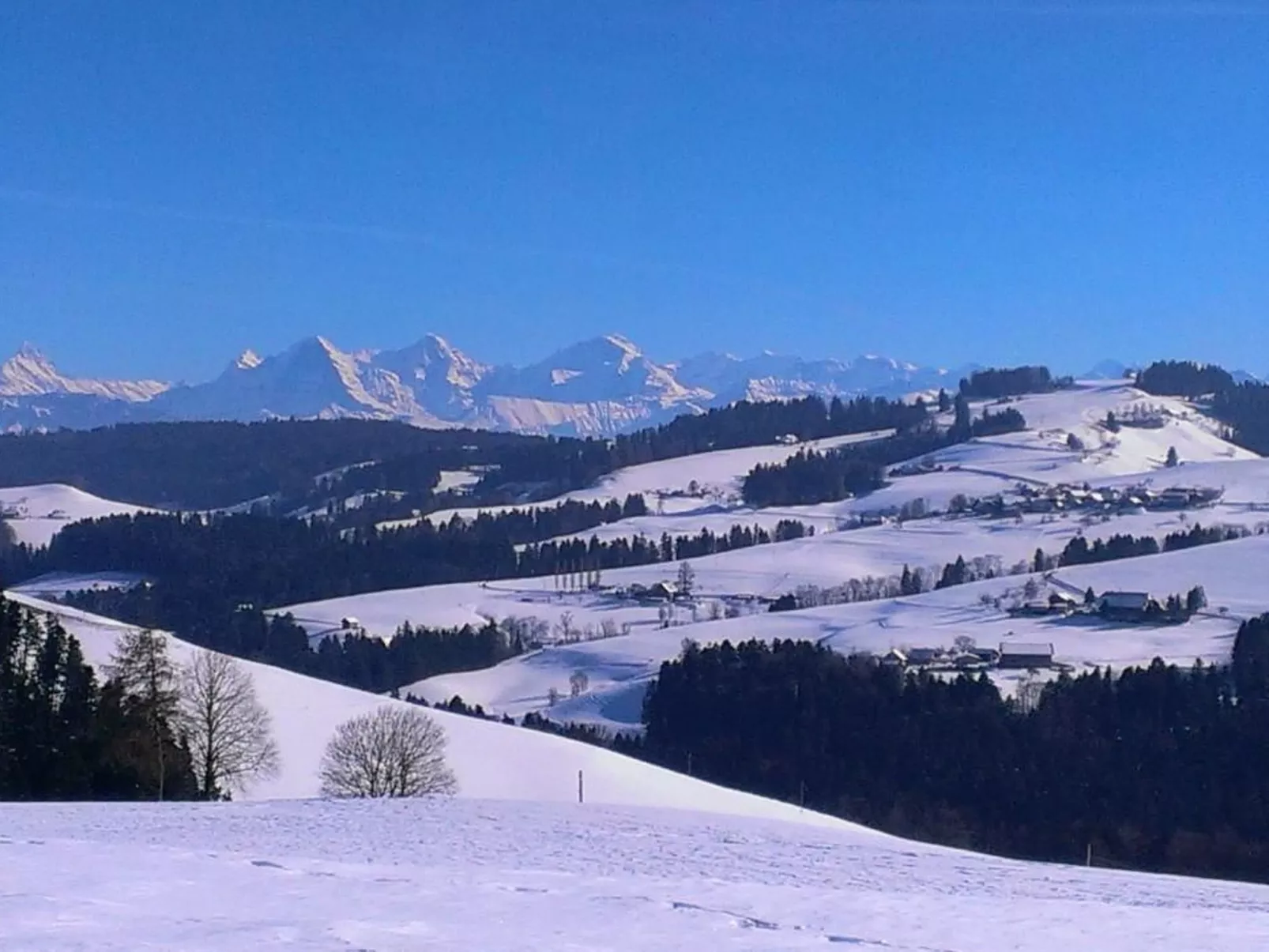 In einem heimeligen Berner-Stöckli