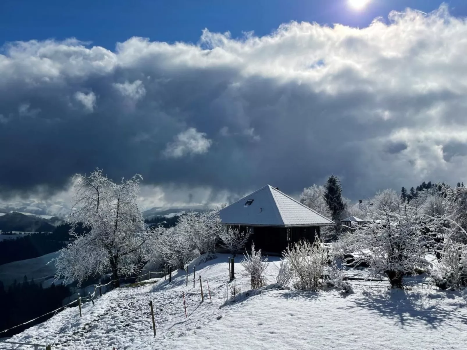 Moosegg-Image-tags.info