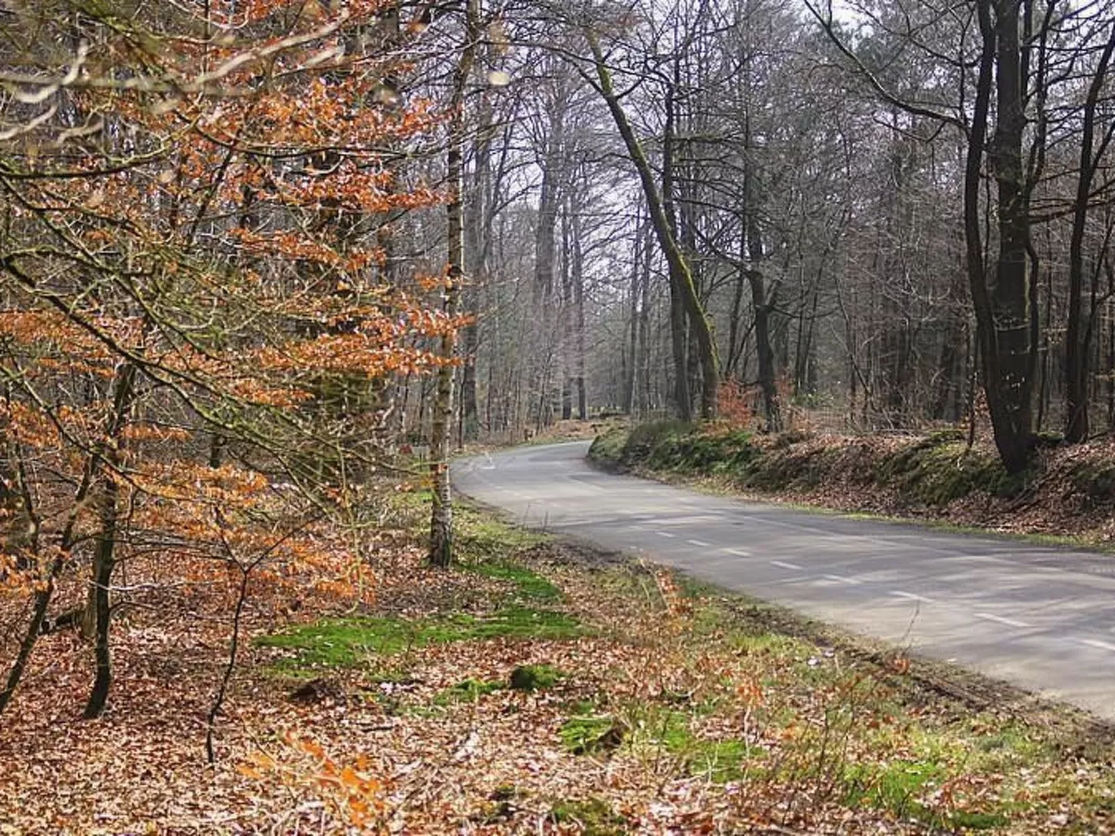 Anwesen "Oranjehorst"-Dehors