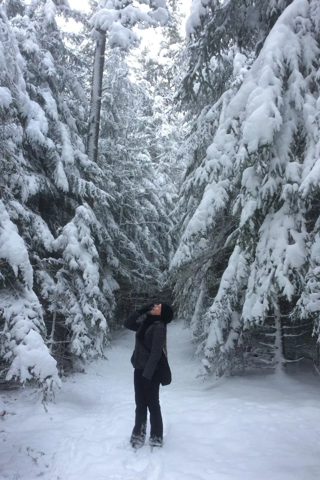 Finnisches Holzhaus-Image-tags.info