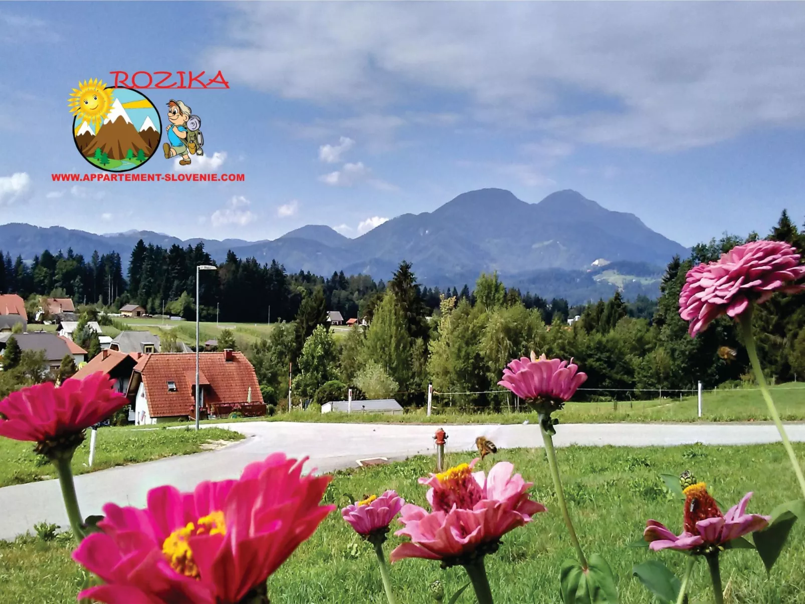 Wohnung Rozika-Image-tags.info