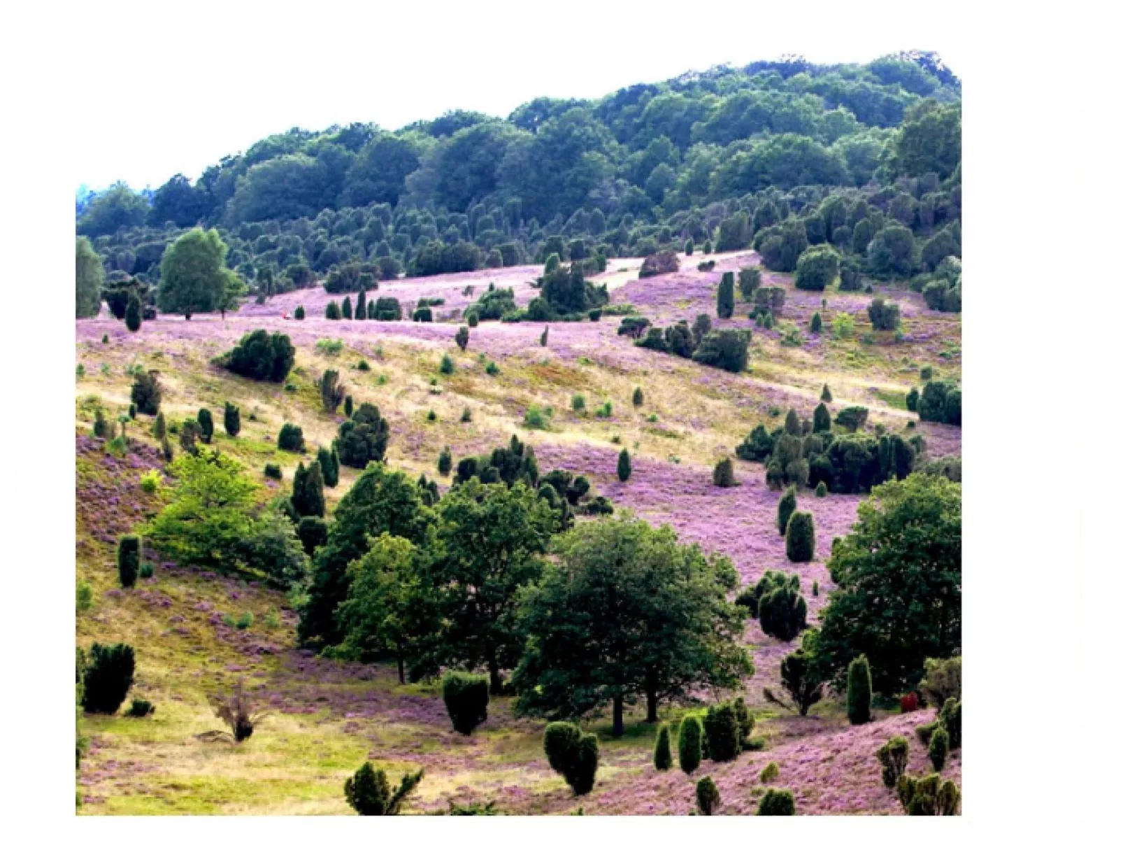 In Wolterdingen mit Eigener Terrasse-Outside