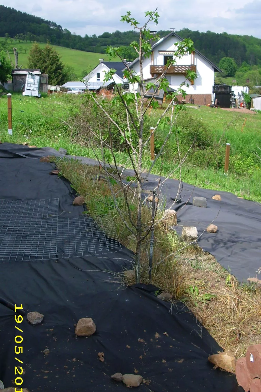 Ingrid-Image-tags.info