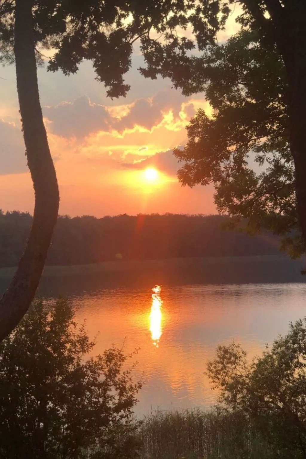 Reetdach Ferienhaus am Lübbesee Sauna Bootsteg neu