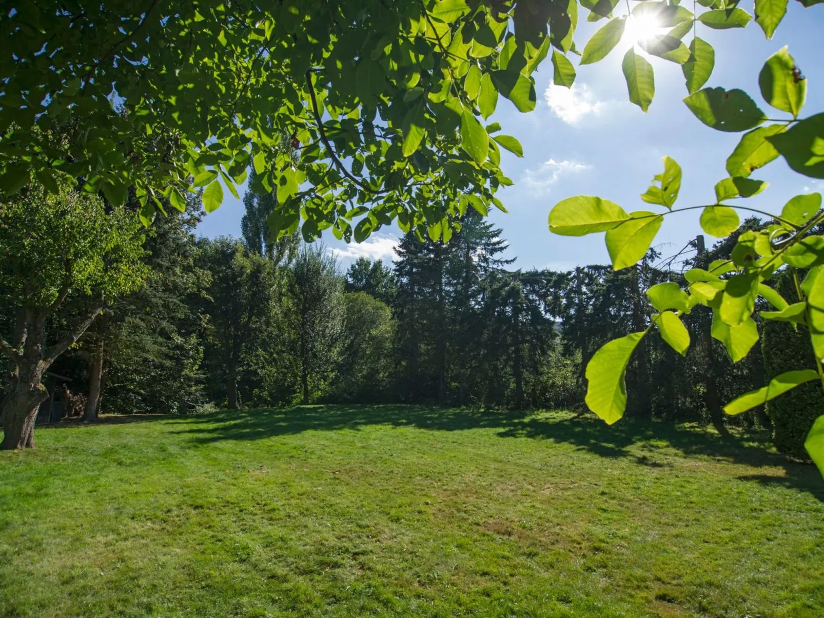 Gemütliches Ferienhaus in Hasenfeld mit Großem Garten