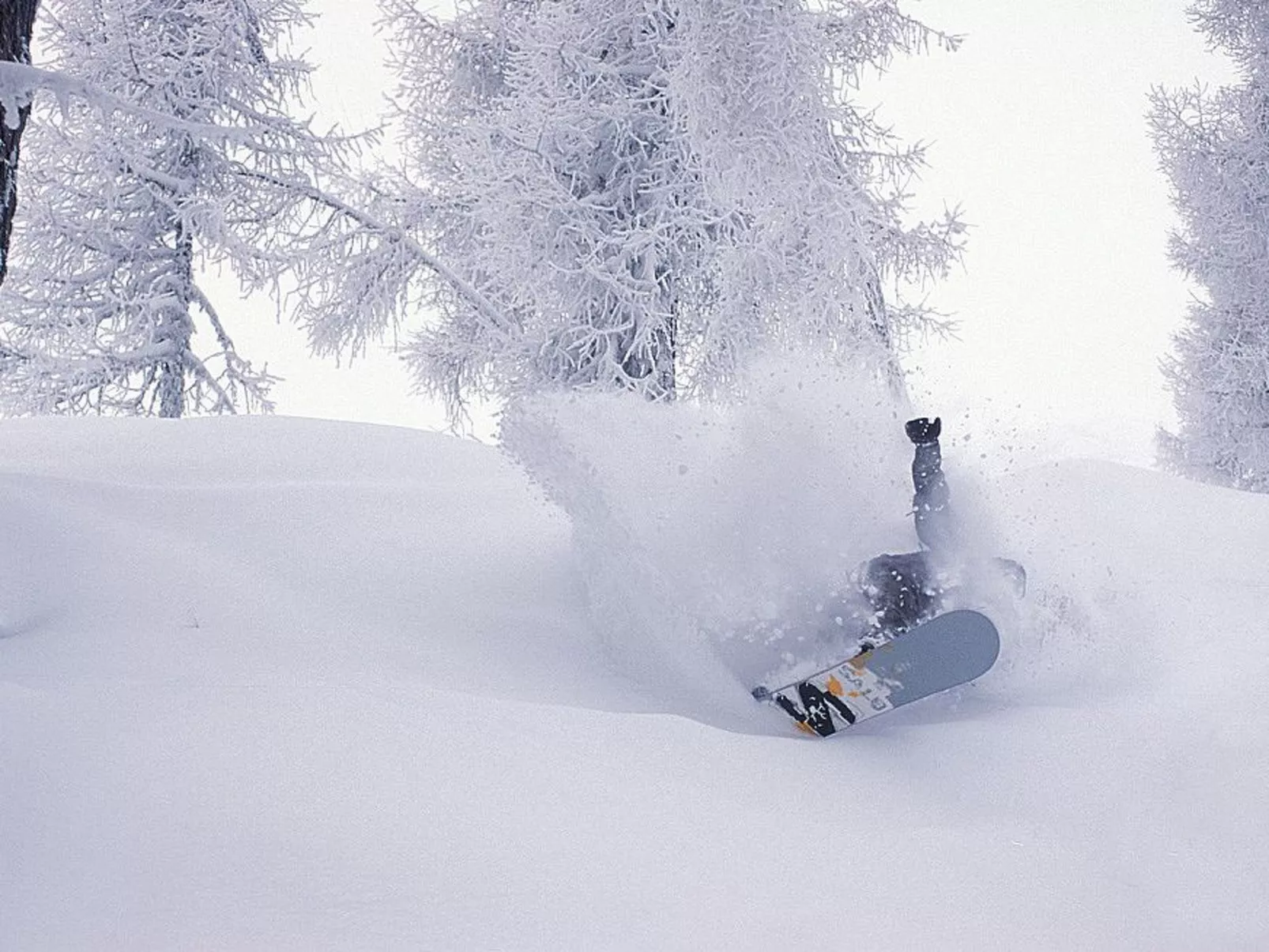 Im Garten der Dolom - Erholung pur-Outside