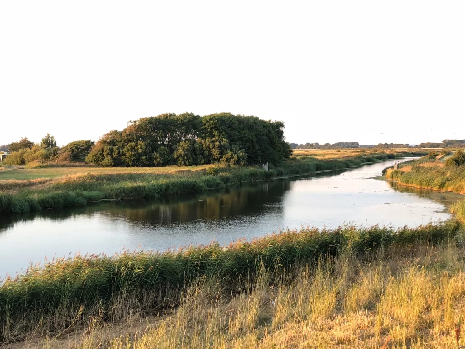 Reetdachhaus inmitten von Wiesen und Feldern
