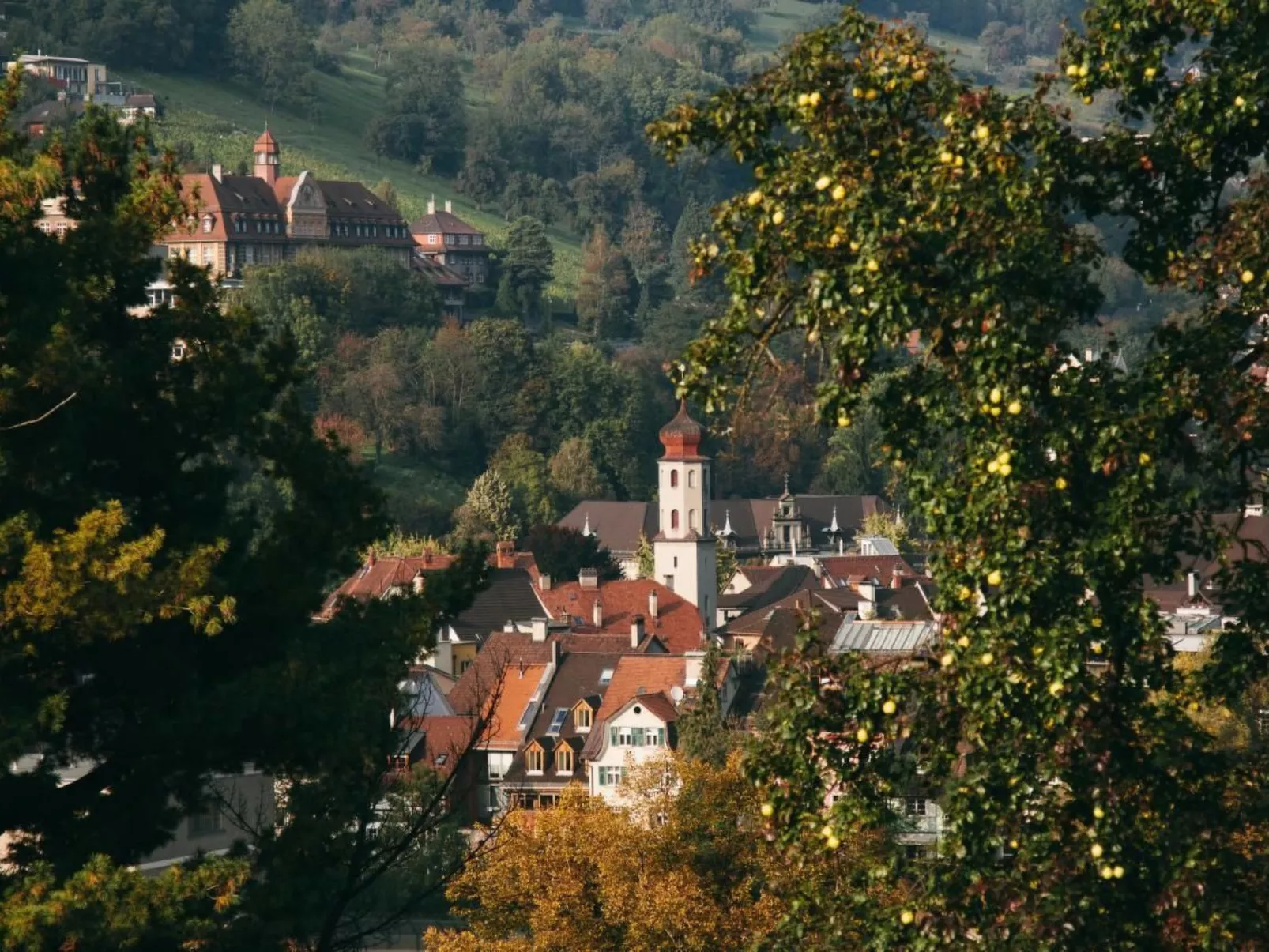 Apartement Feldkirch