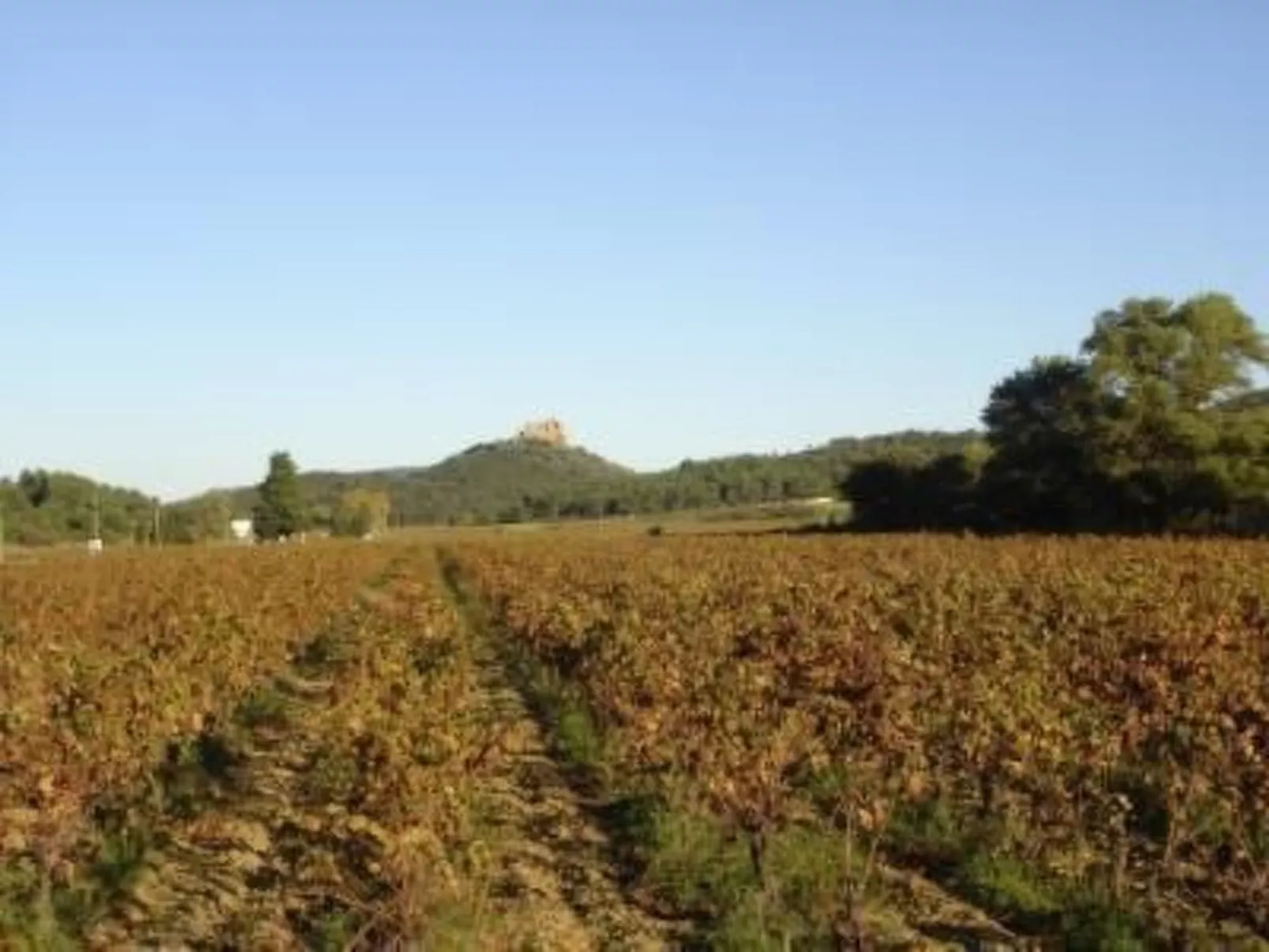 Schönes Ferienhaus mit Pool-Draußen
