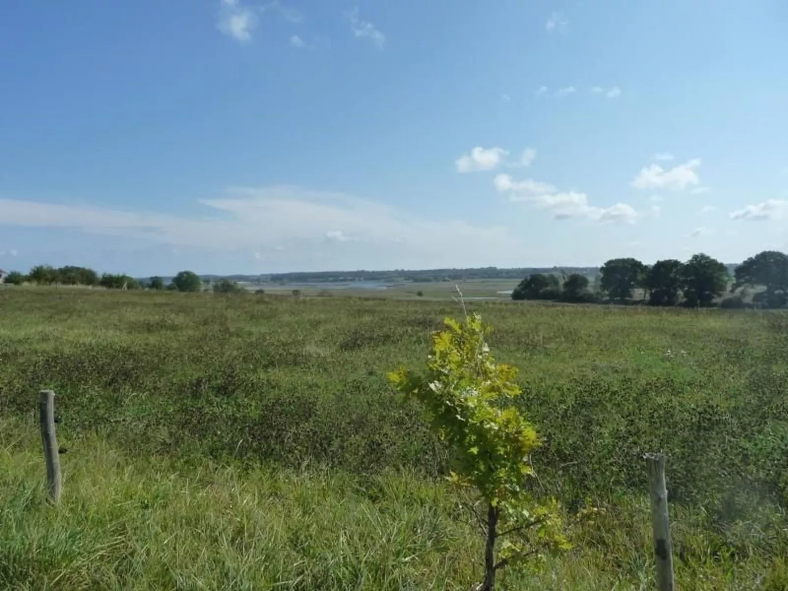 An den Tannen 31-Dehors