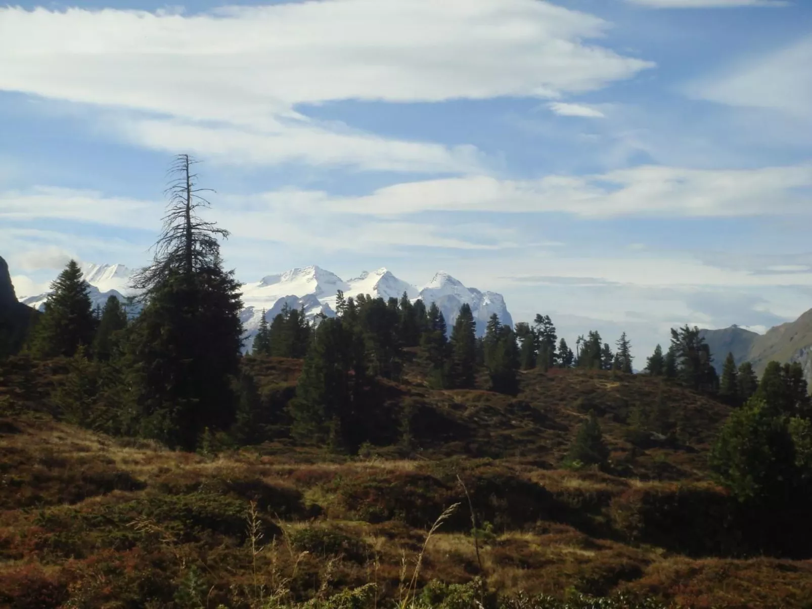 Alphütte Gental - Haslital-Draußen
