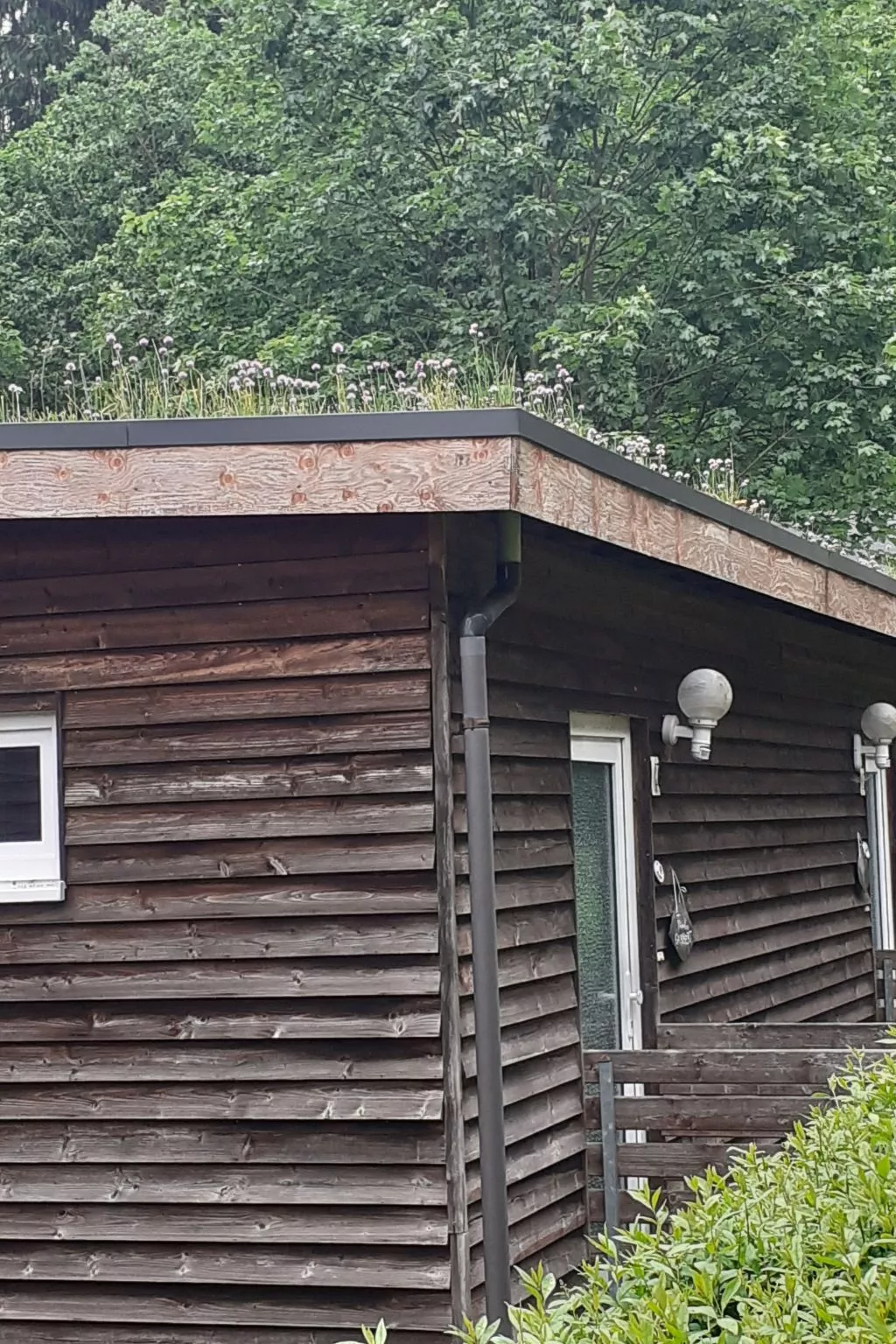 Für 6 Personen im Thüringer Wald-Draußen