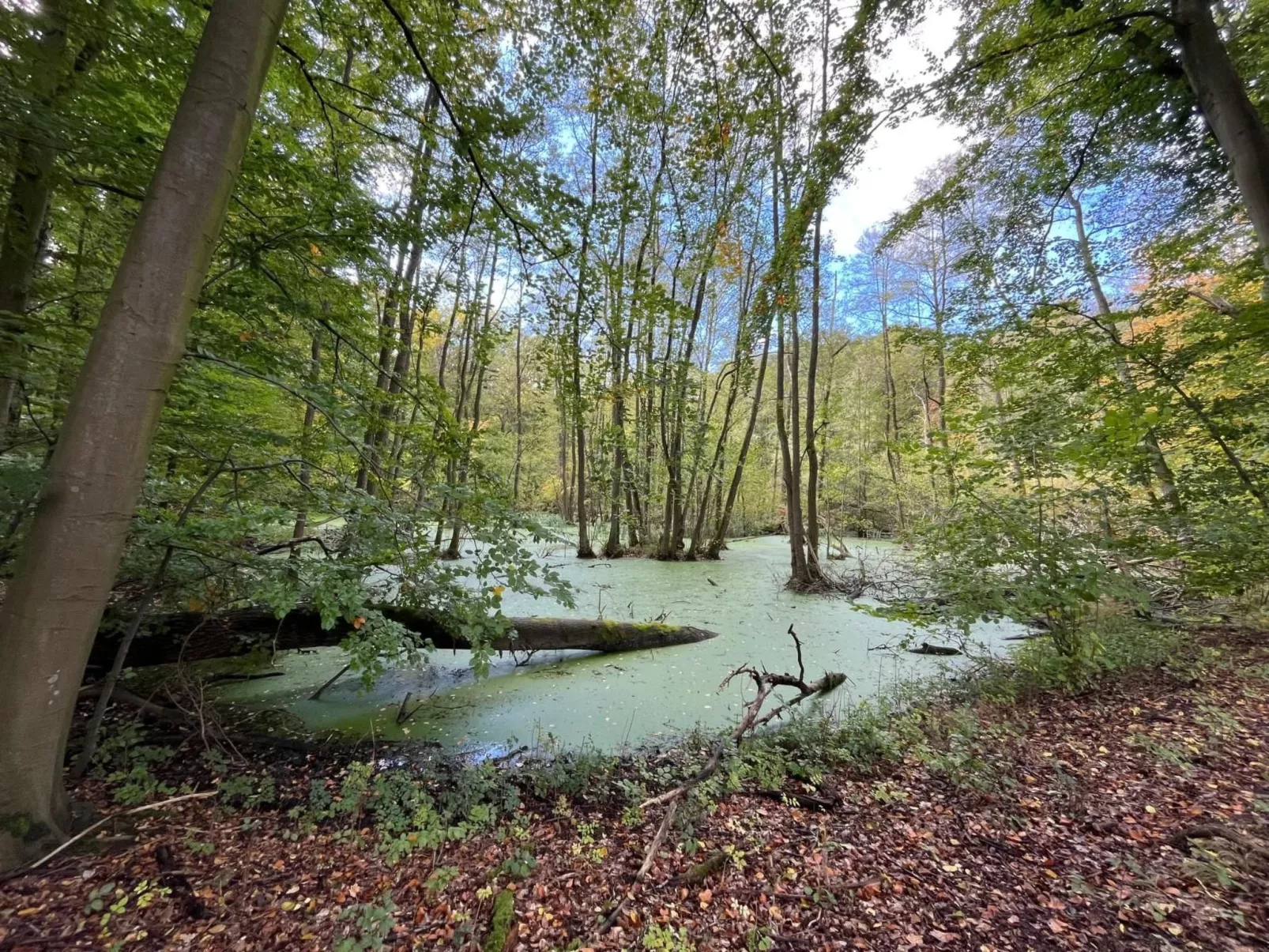 Landurlaub Mecklenburgische Seenplatte b. Waren Müritz