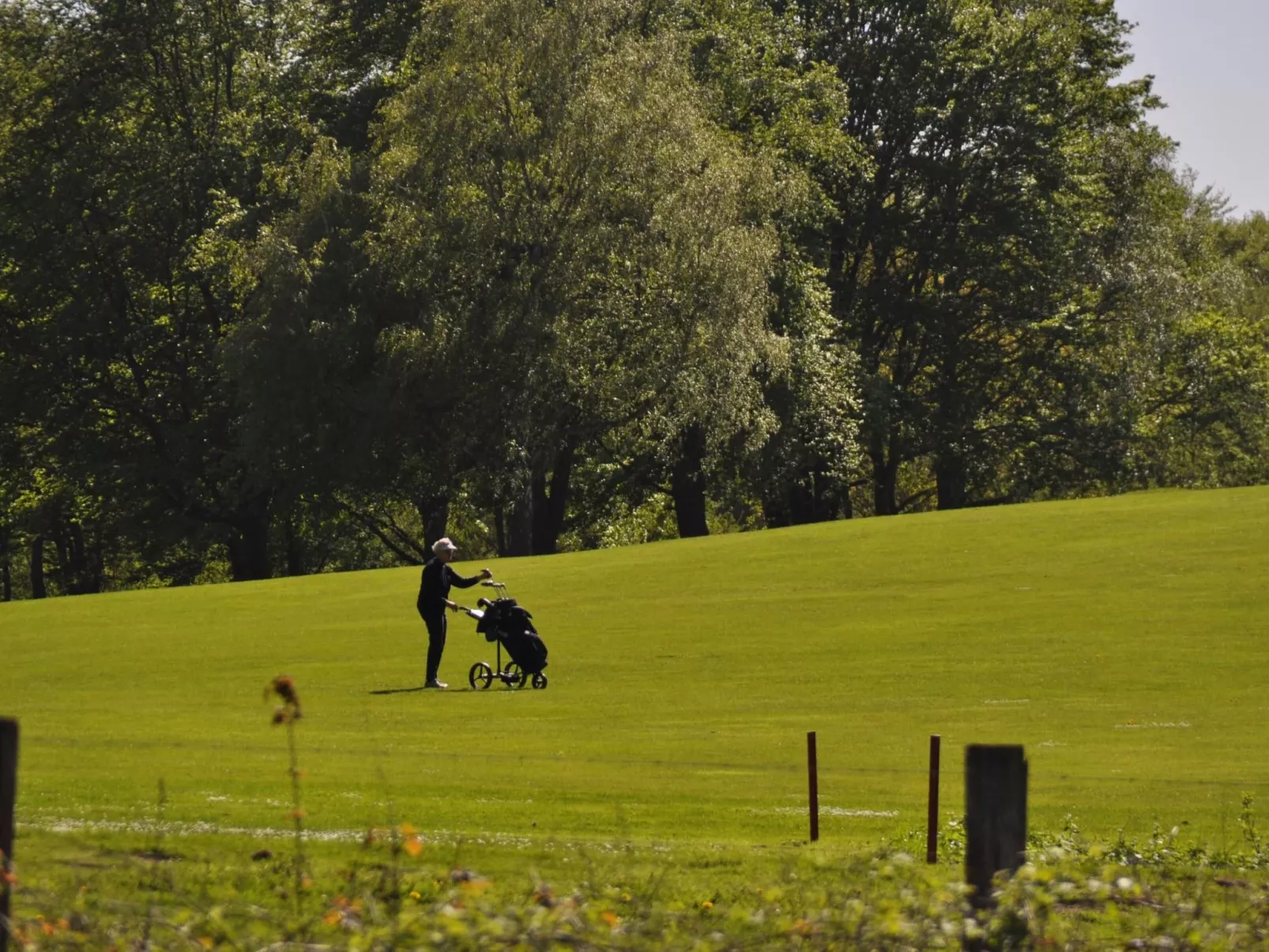 Entspannen auf der Südterrasse-Dehors