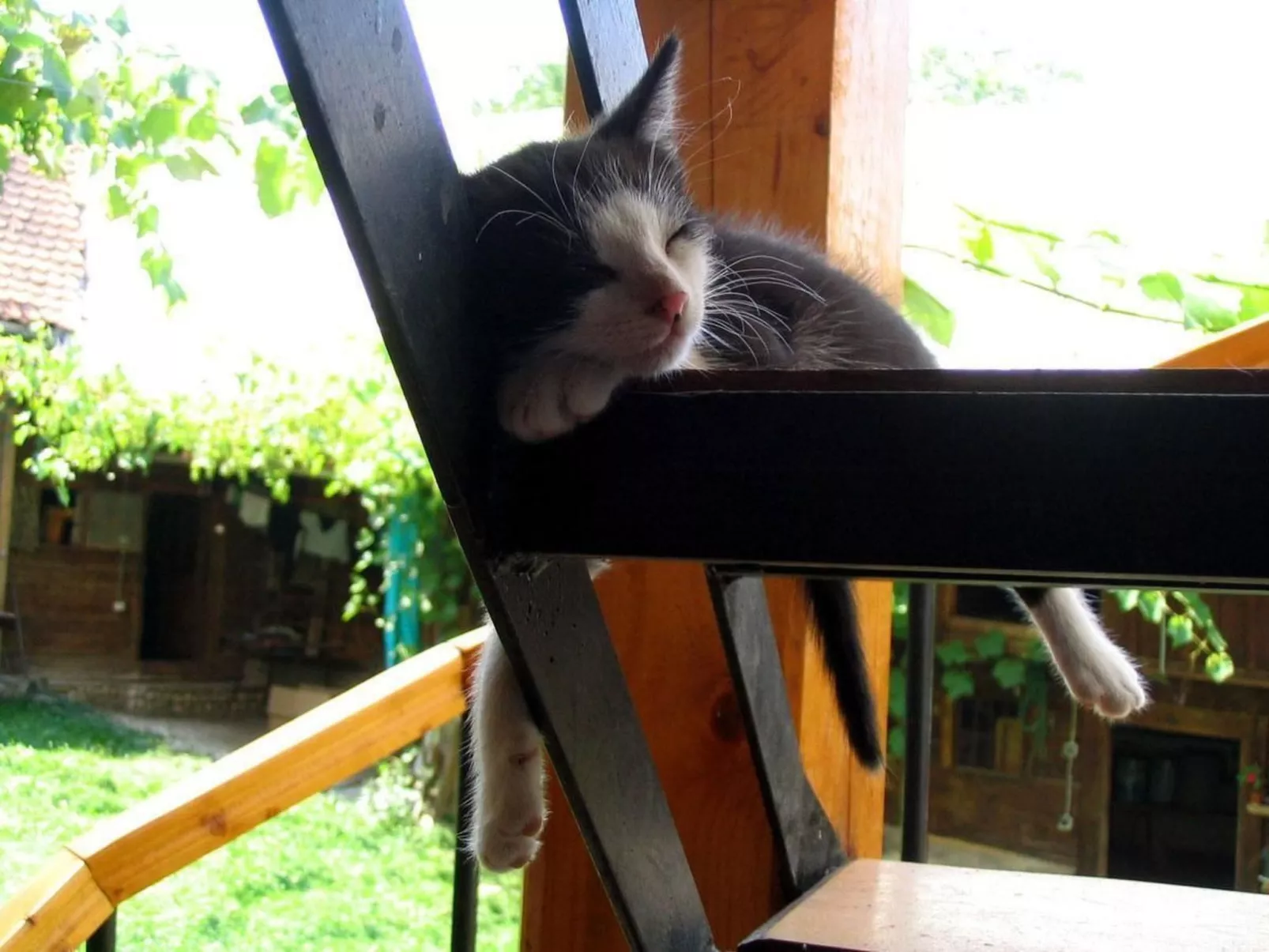 Casa Crina - rustikale Ferienvilla in Siebenbürgen