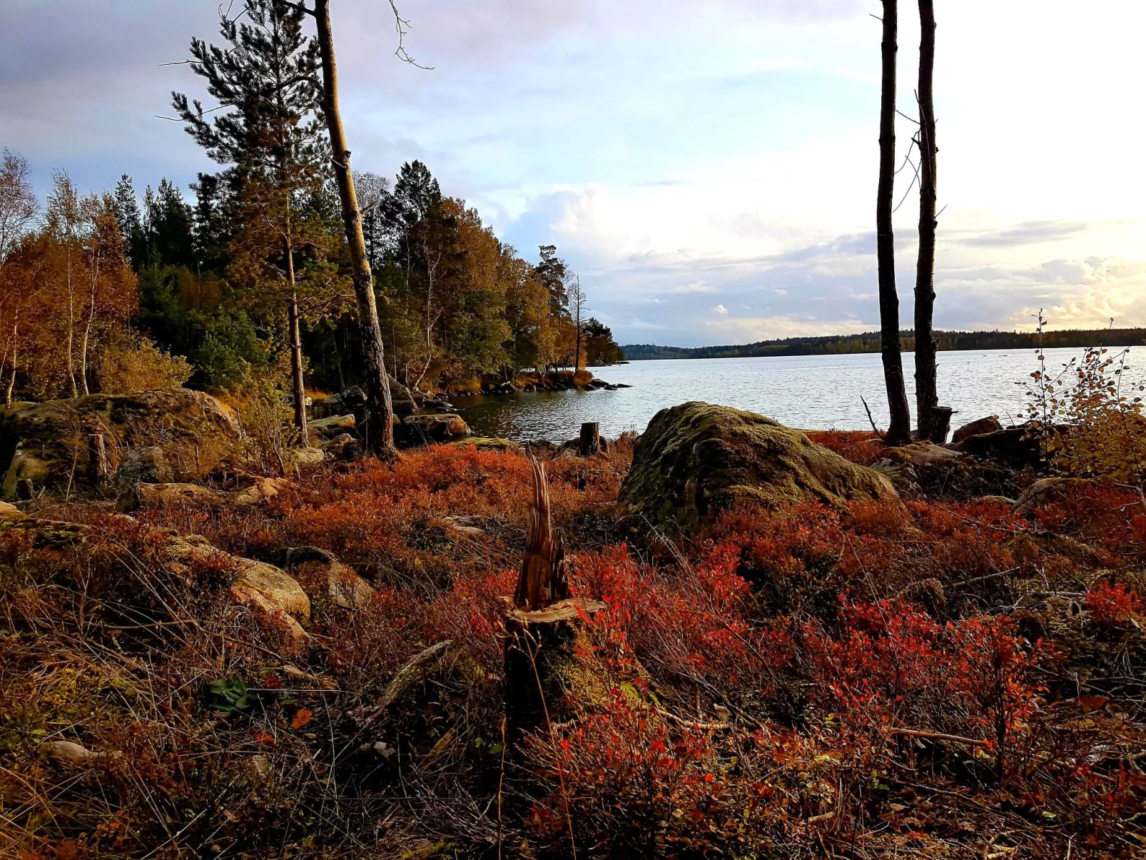 Särskilda-Image-tags.info