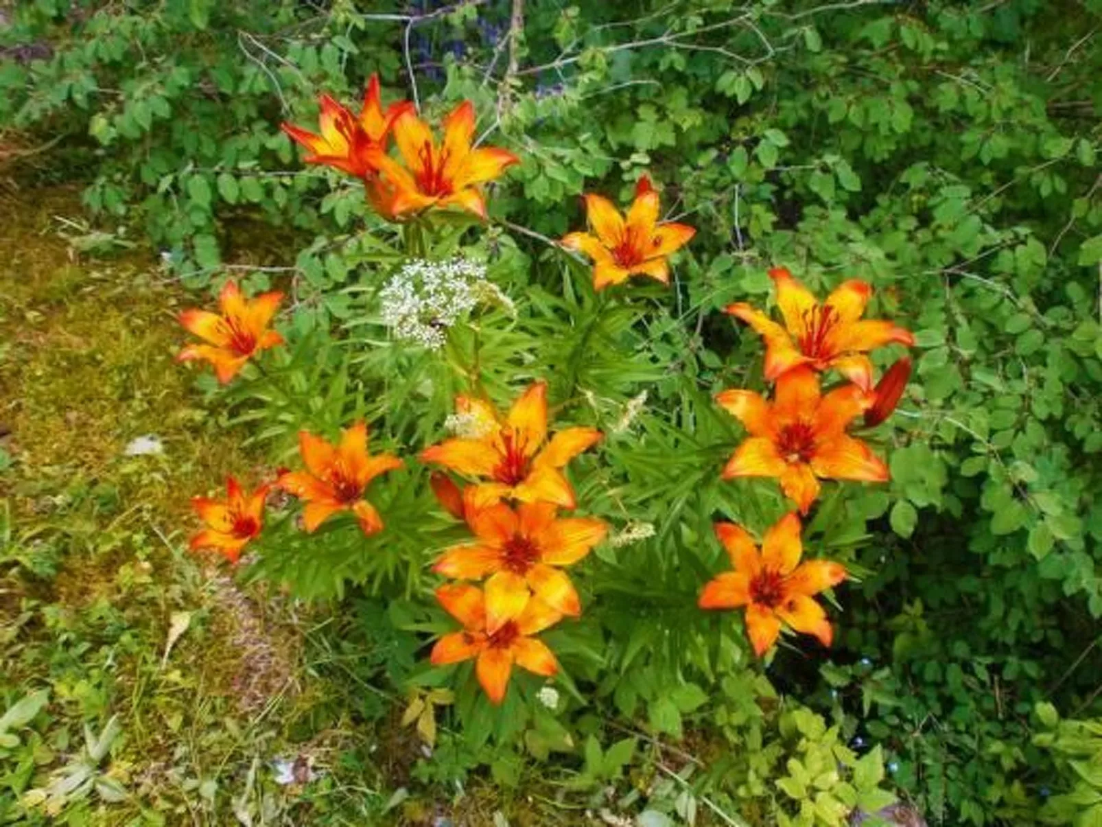 Alte typische Engadinermühle