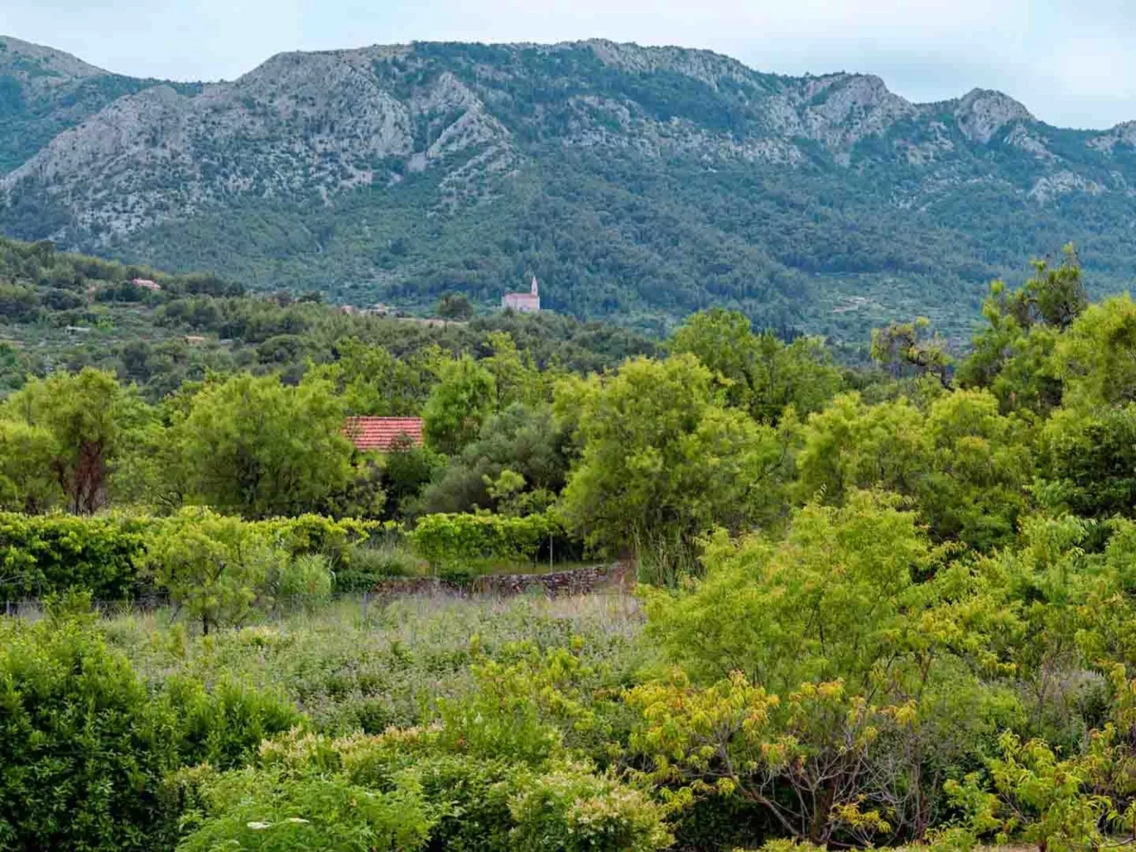 Villa "Sunshine" mit Garten, Grill und Terrasse-Draußen