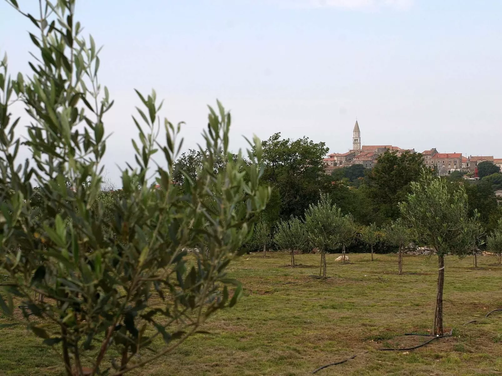 Ferienvilla mit Garten, Grill und Terrasse-Draußen