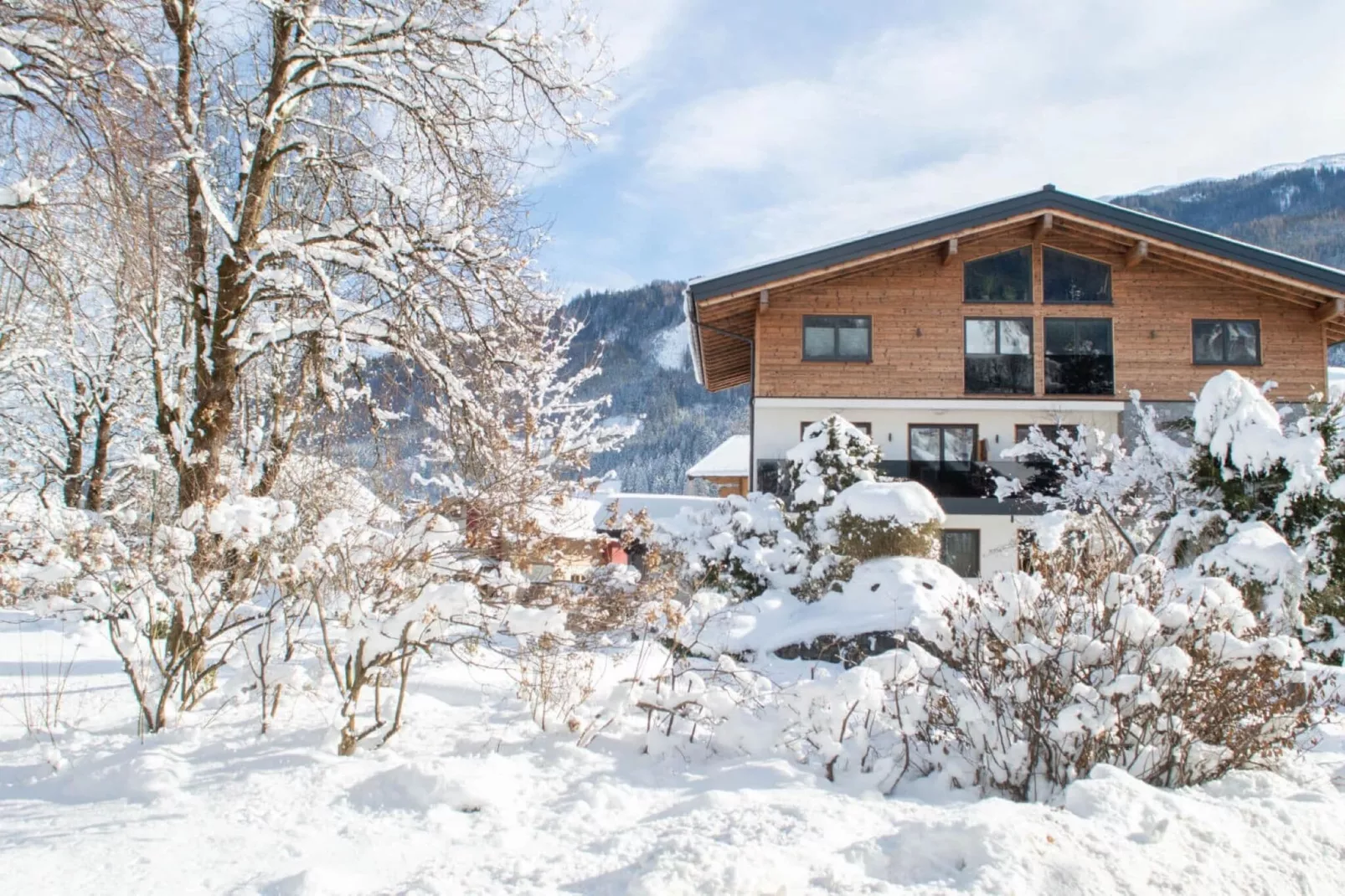 Baderhäusl-Exterior winter