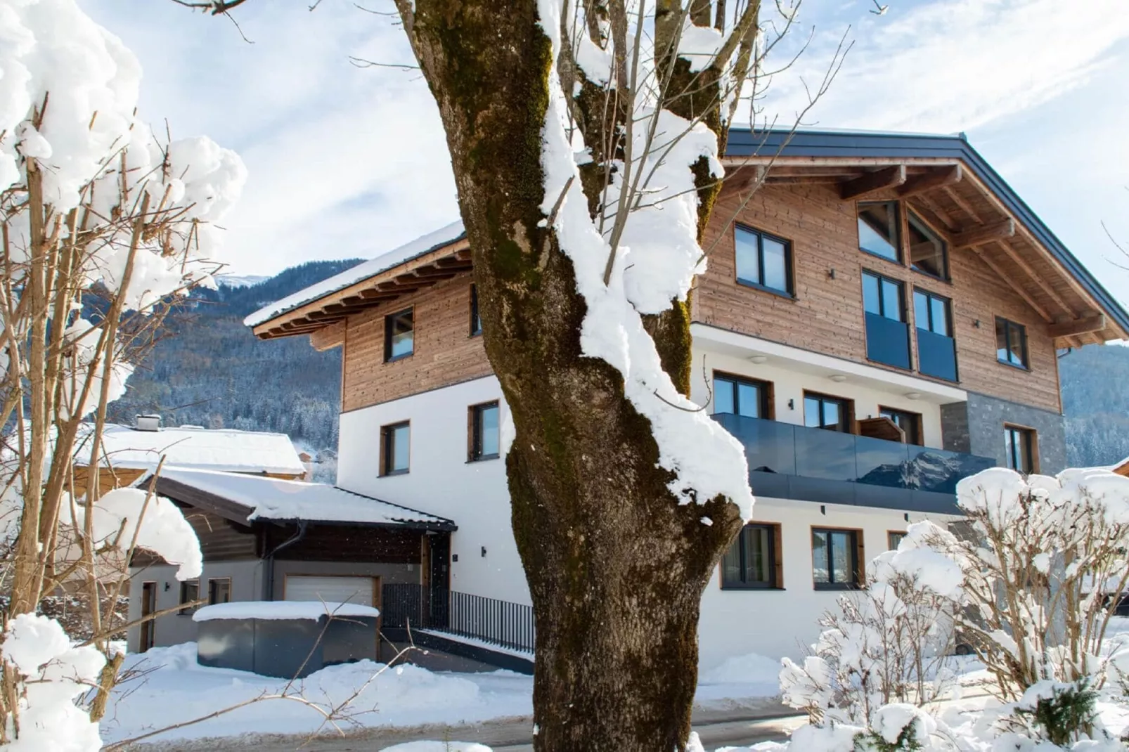 Baderhäusl-Exterior winter