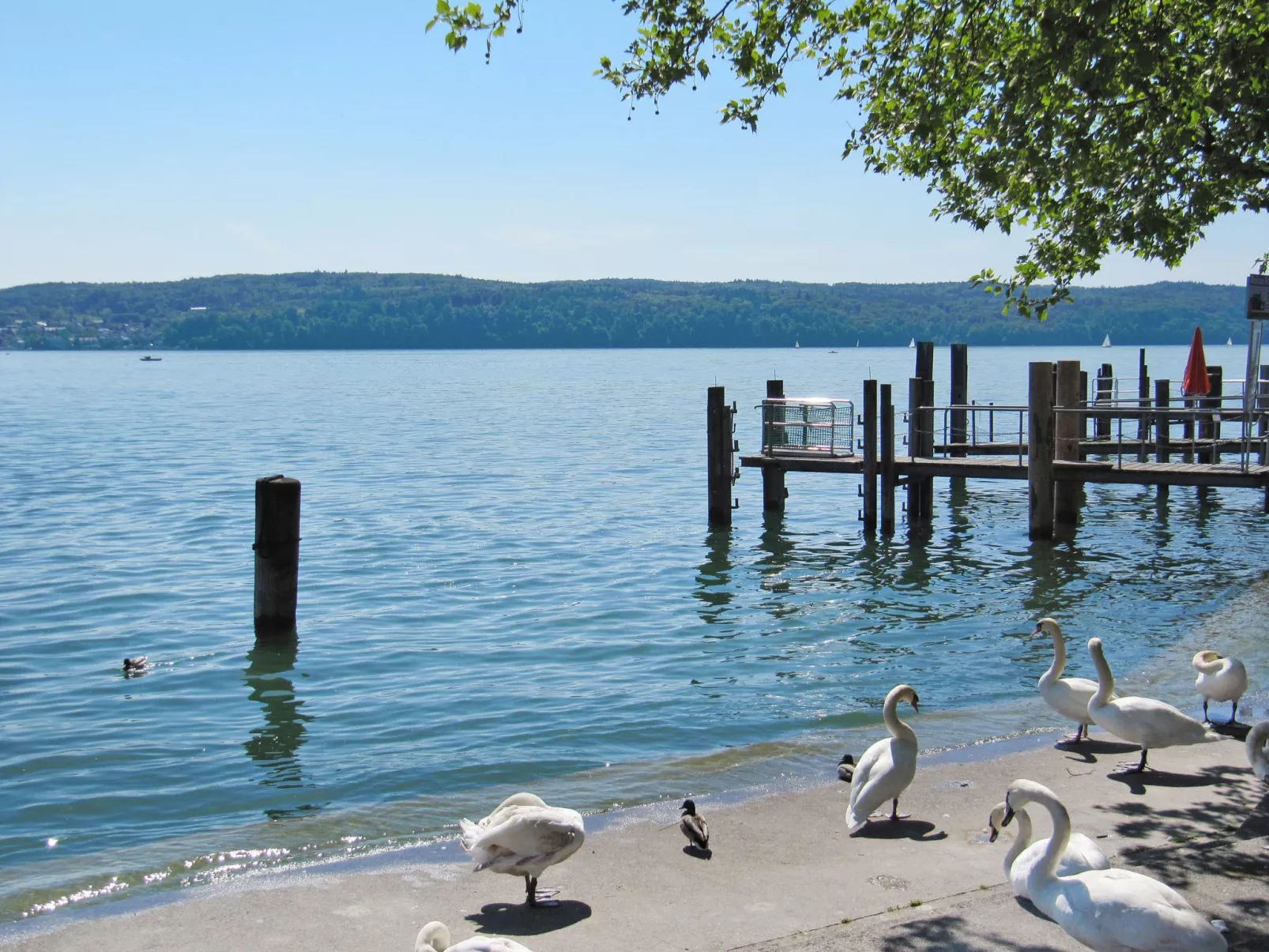 3-Zimmer-Fewo mit herrlichem Seeblick-Umgebung