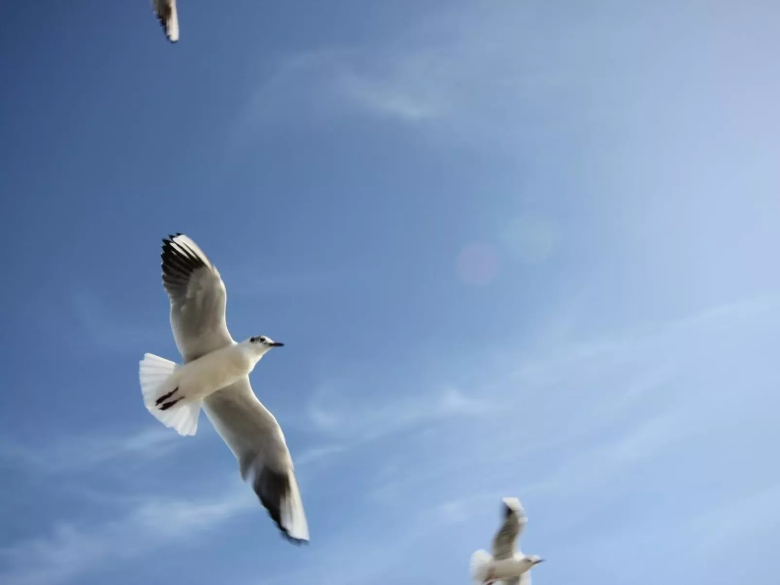 Müritzbrise groß in in Ludorf