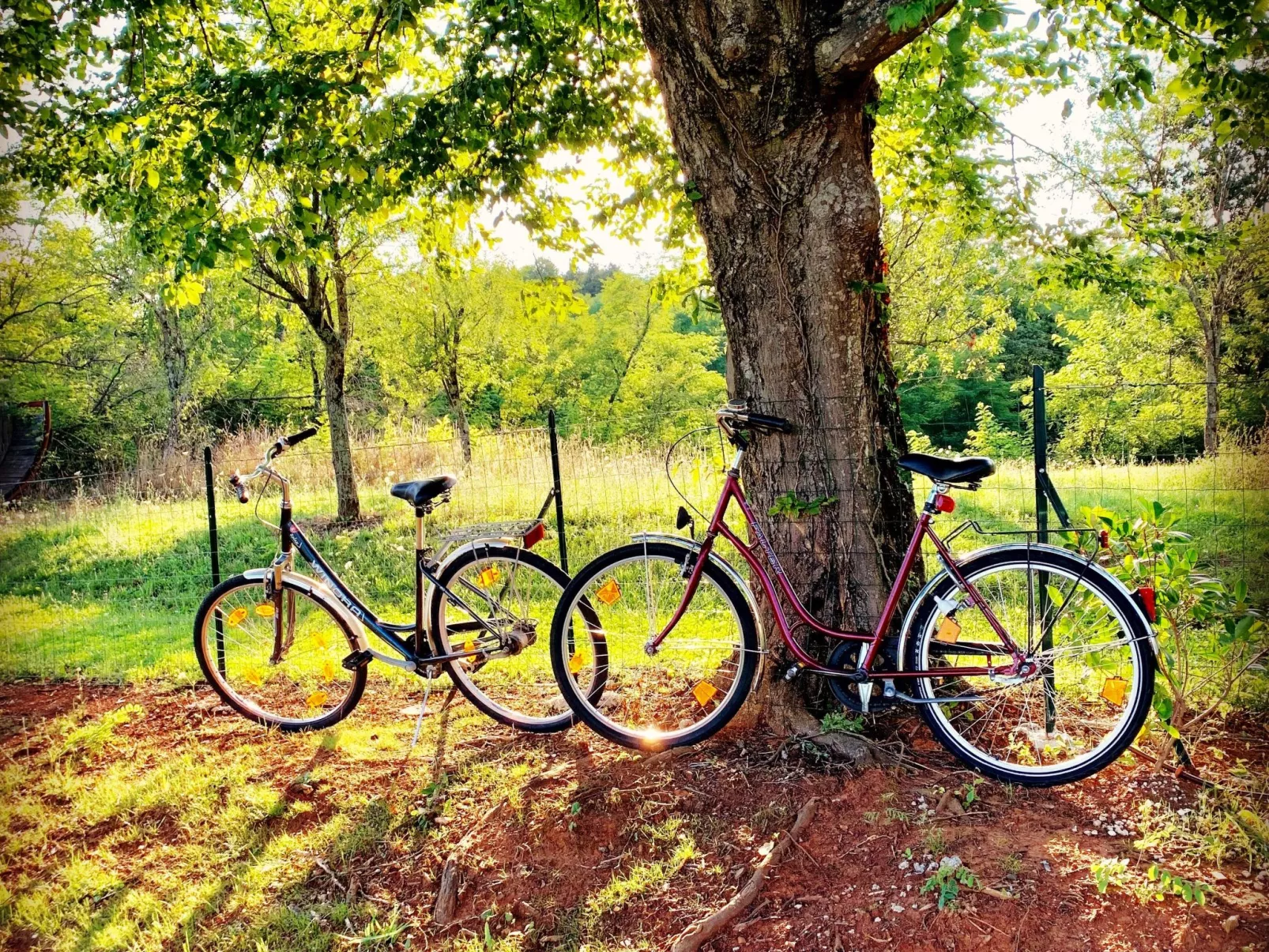 Charmante Villa mit gepflegtem Garten und beheiztem Pool-Outside