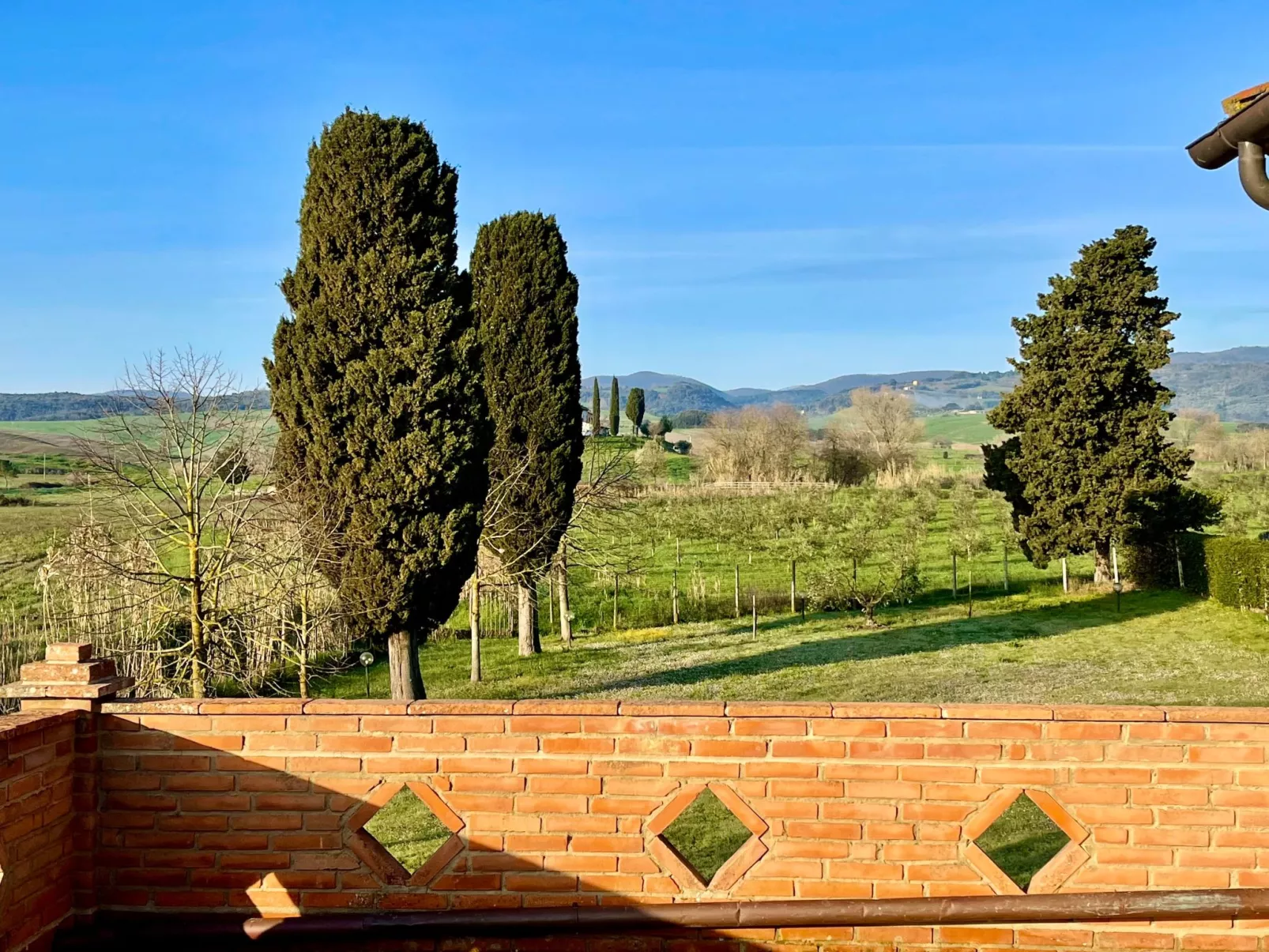 Ostoncino biodynamisch-Outside