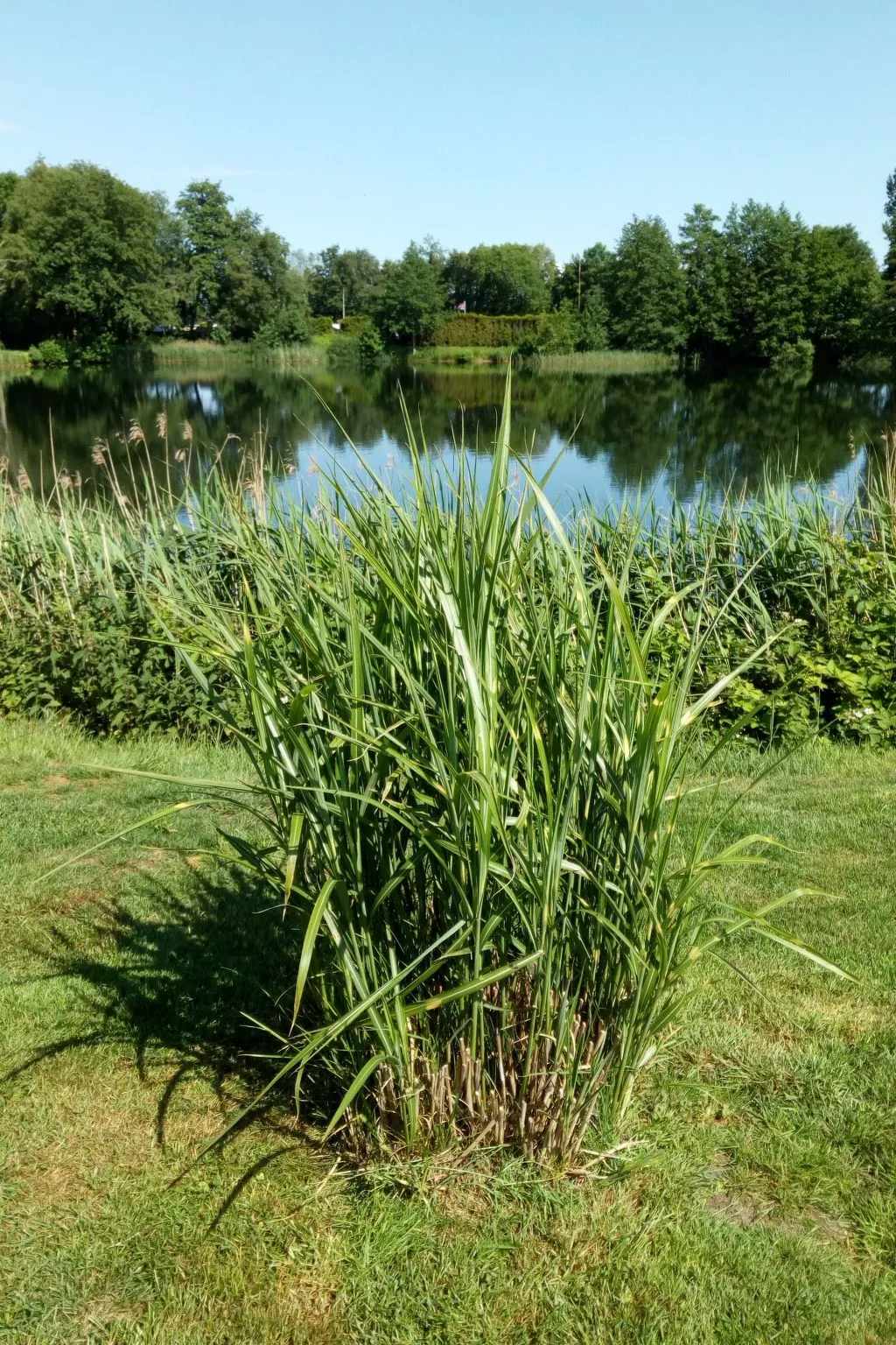 Haus am Kiessee - Mediterranes Flair mit Seeblick-Draußen