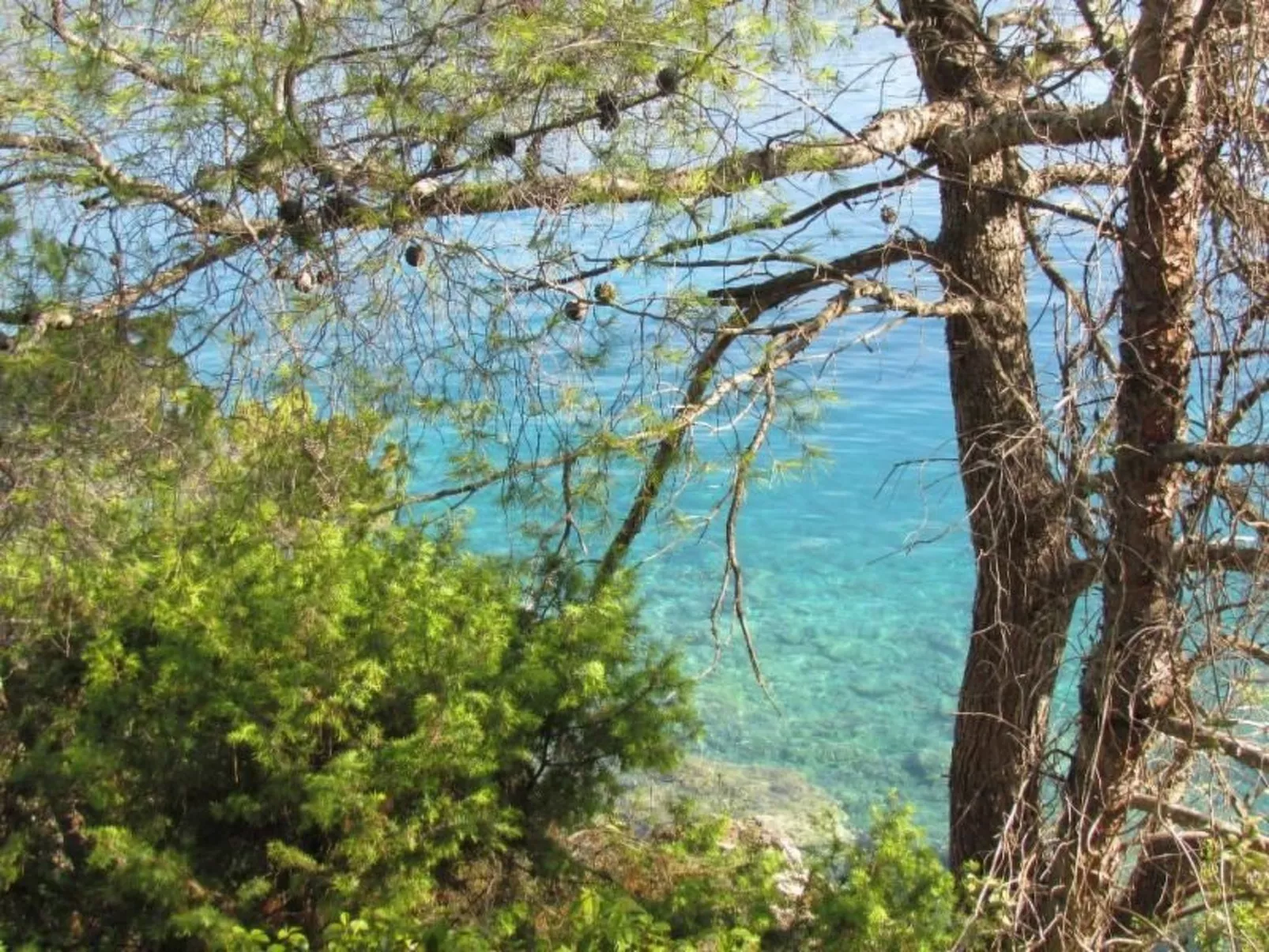 "Ein kleines Paradies"-Outside