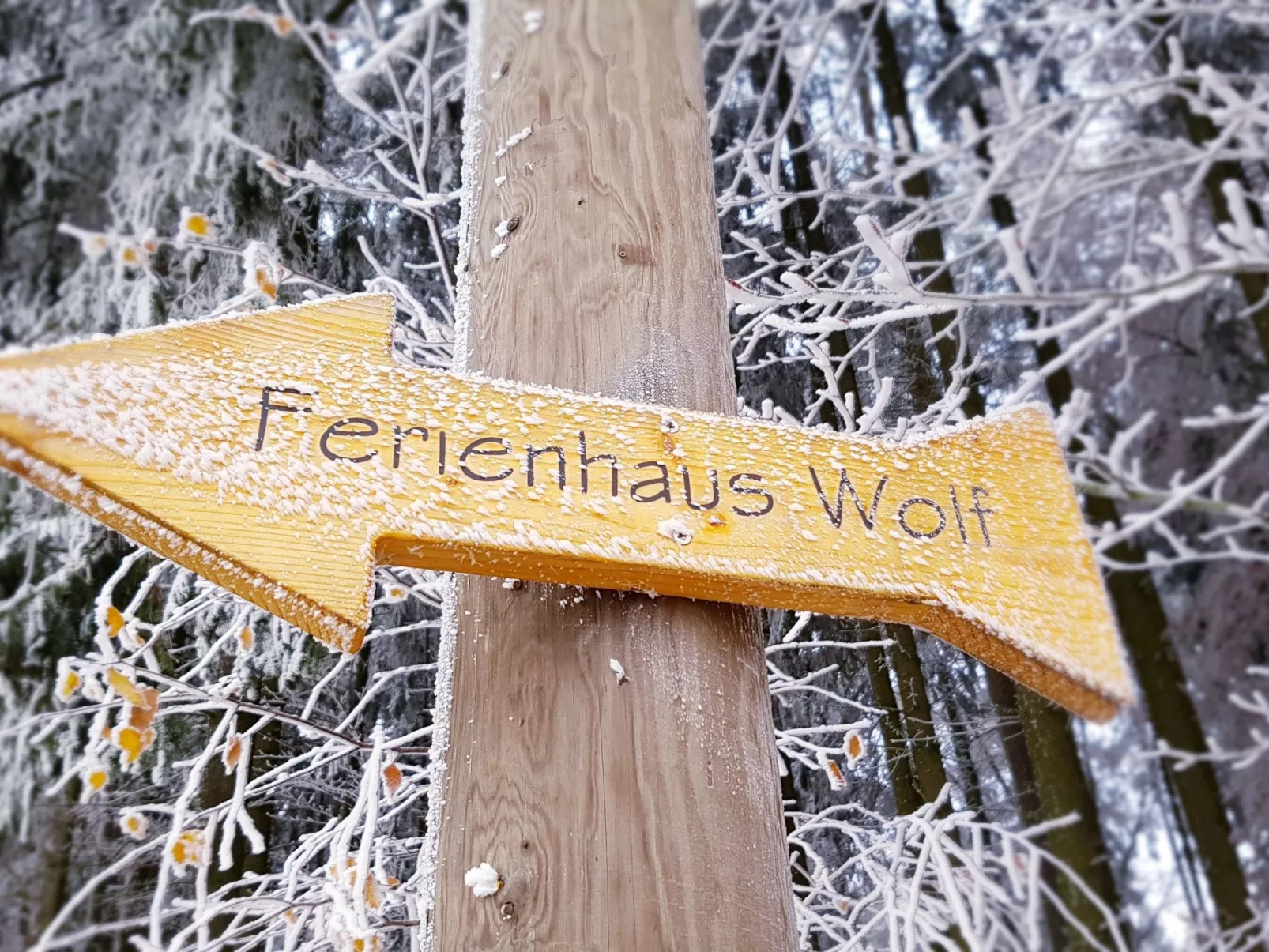 Am Wald gelegenes Ferienhaus "Wolf" mit Kamin-Outside