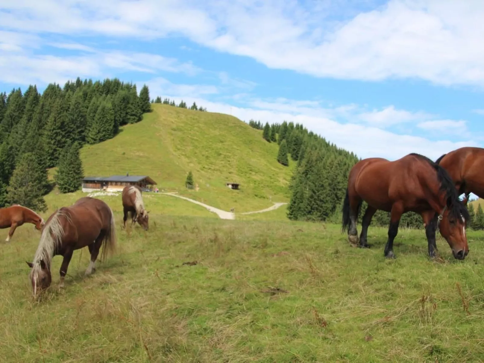 Mit Blick auf das Wasser-Outside