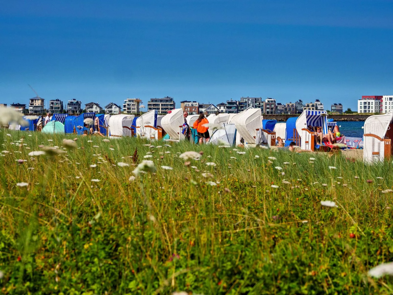 Schleivilla Kapitän James Cook2,  Löwen Dart HB8-Draußen